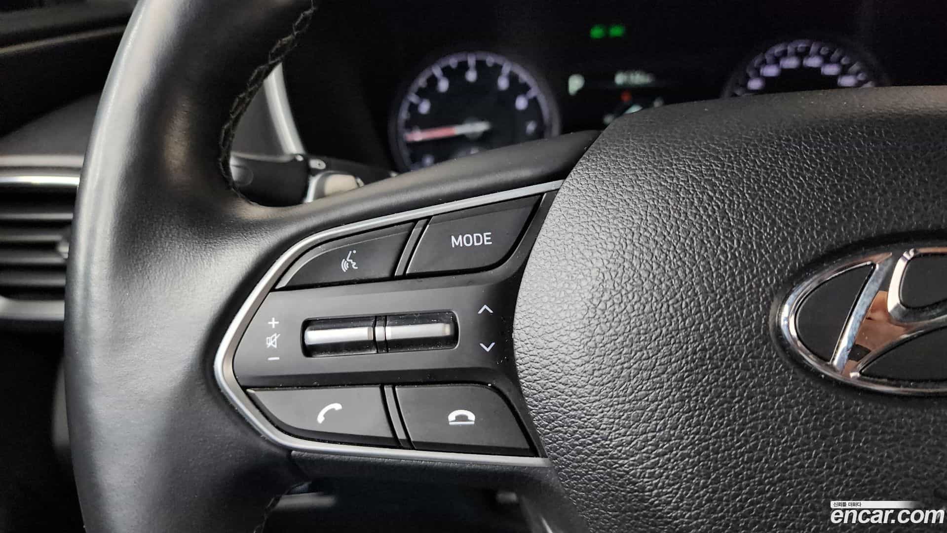 Santafe Hyundai 2021.11-OPTION-020
