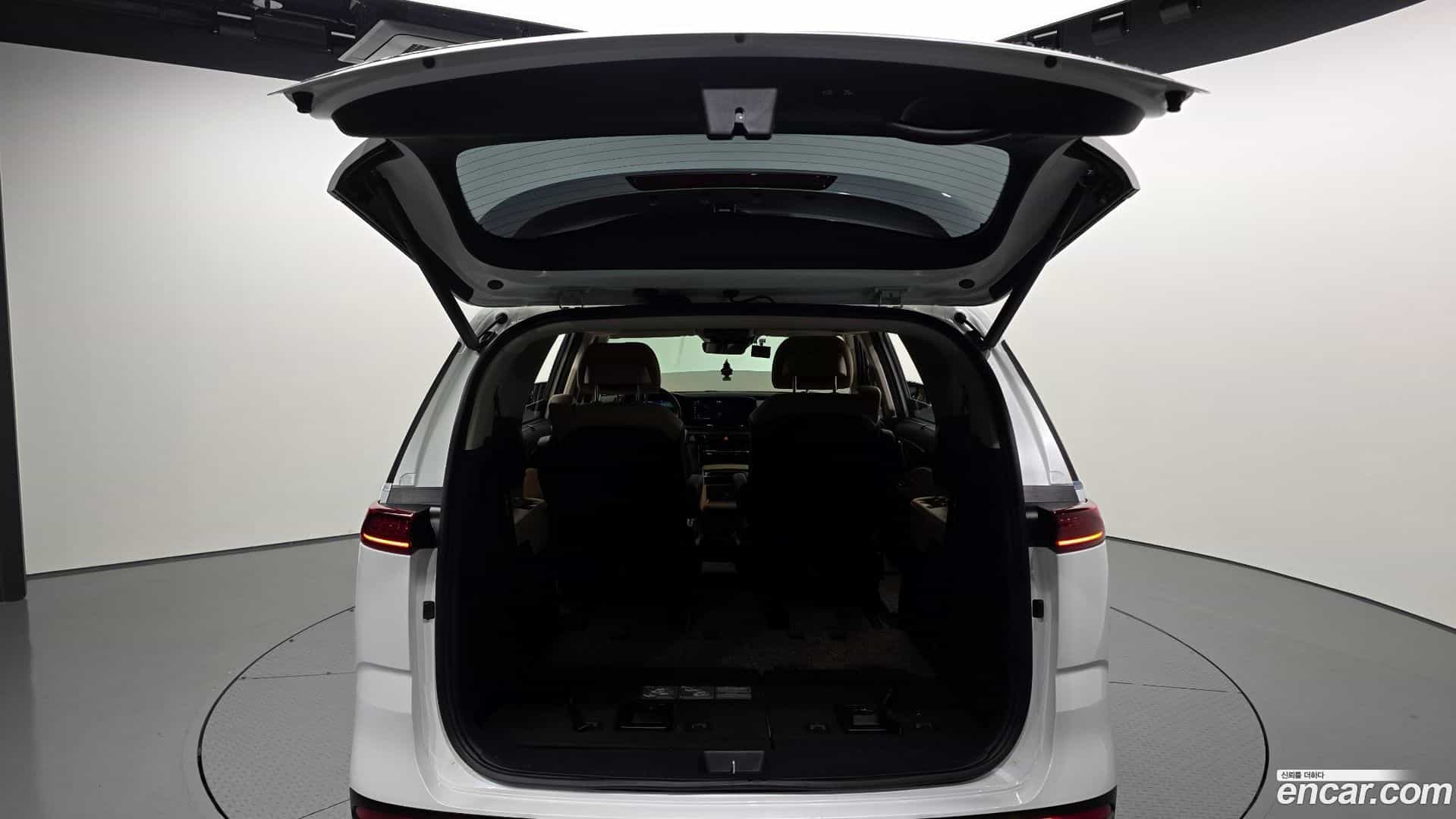 Canival Kia 2020.11-OPTION-024