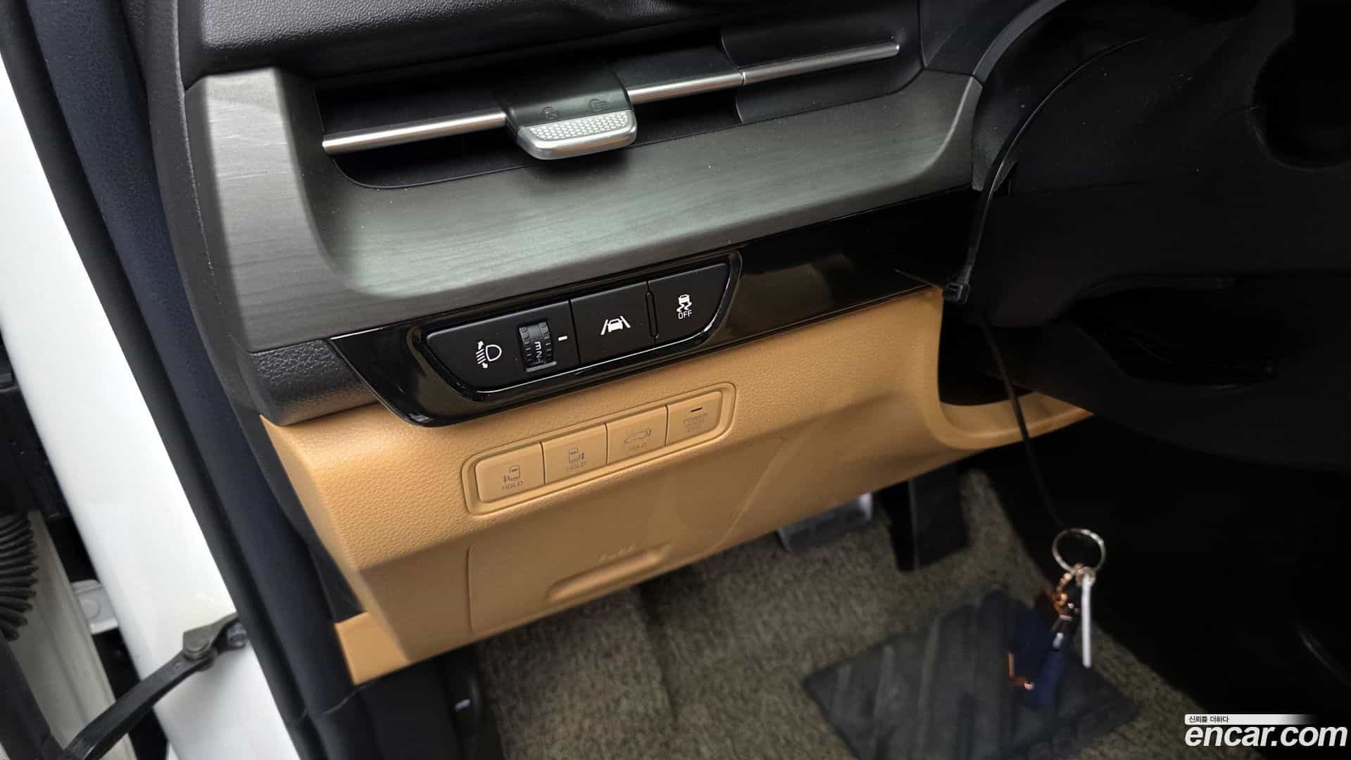 Canival Kia 2020.11-OPTION-040