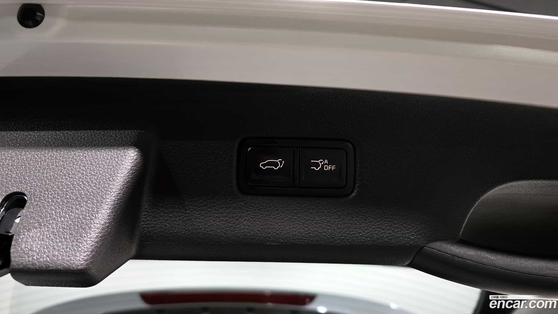 Canival Kia 2020.11-OPTION-043