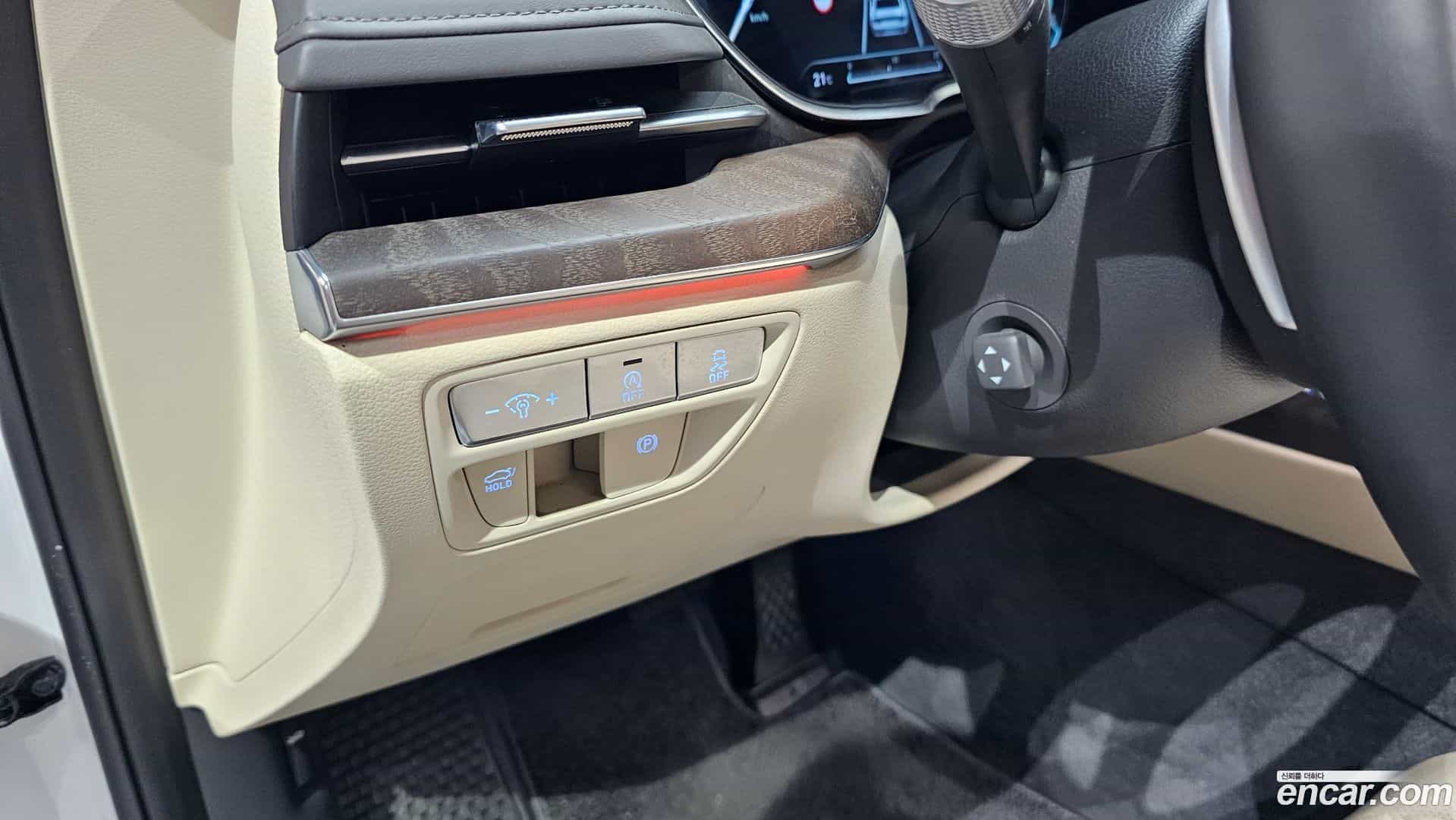 G80 Genesis 2022.1-OPTION-040