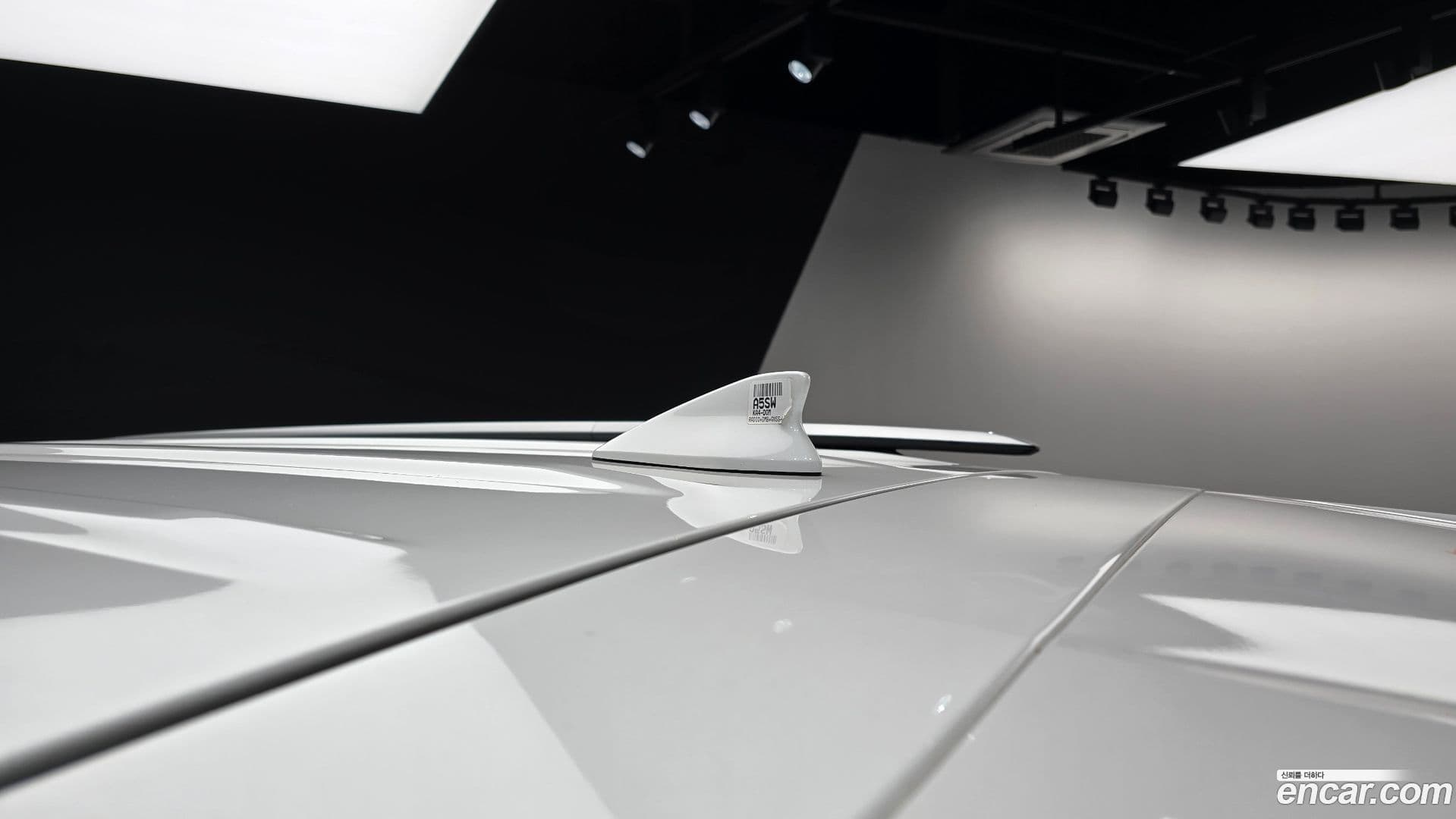 Main__Slider__Photo:Canival Kia 2022.5-34