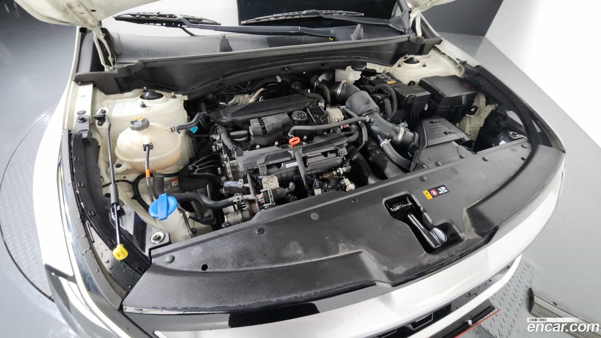 Sportage Kia 2021.8-OUTER-006