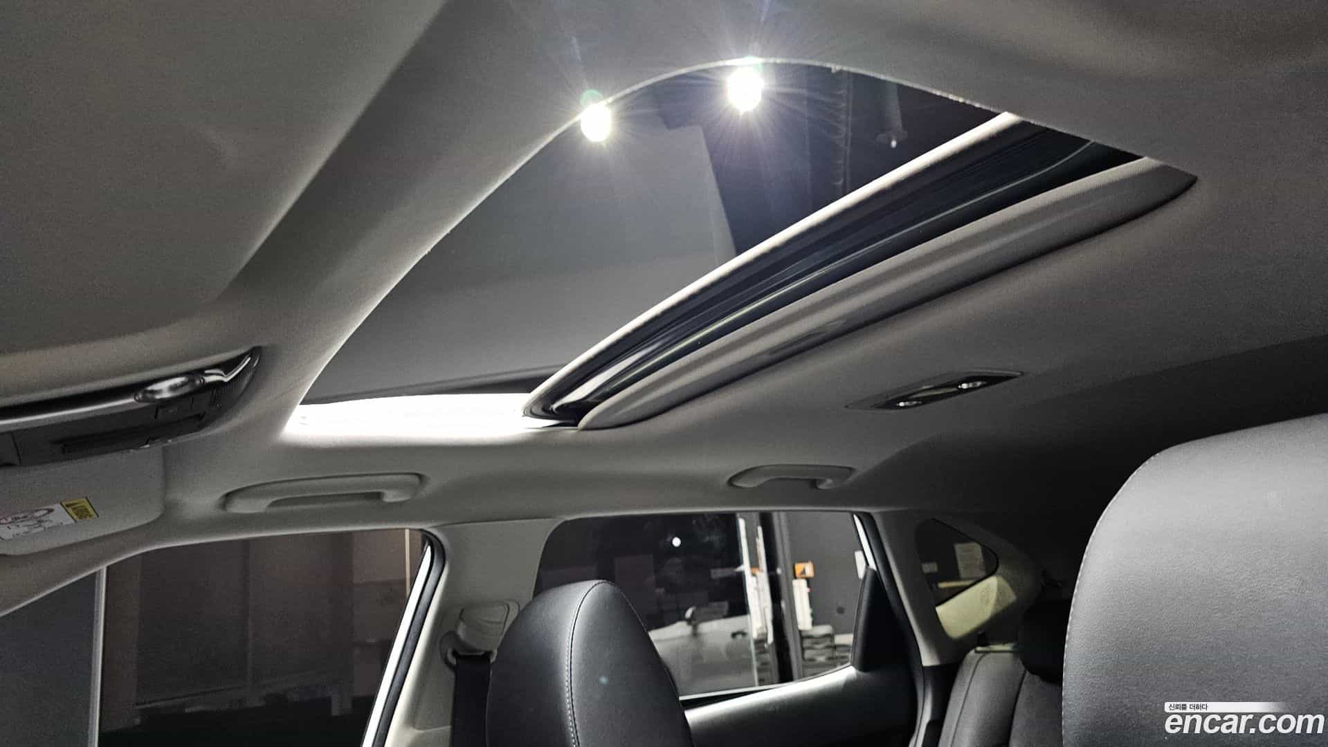 Seltos Kia 2020.10-OPTION-023