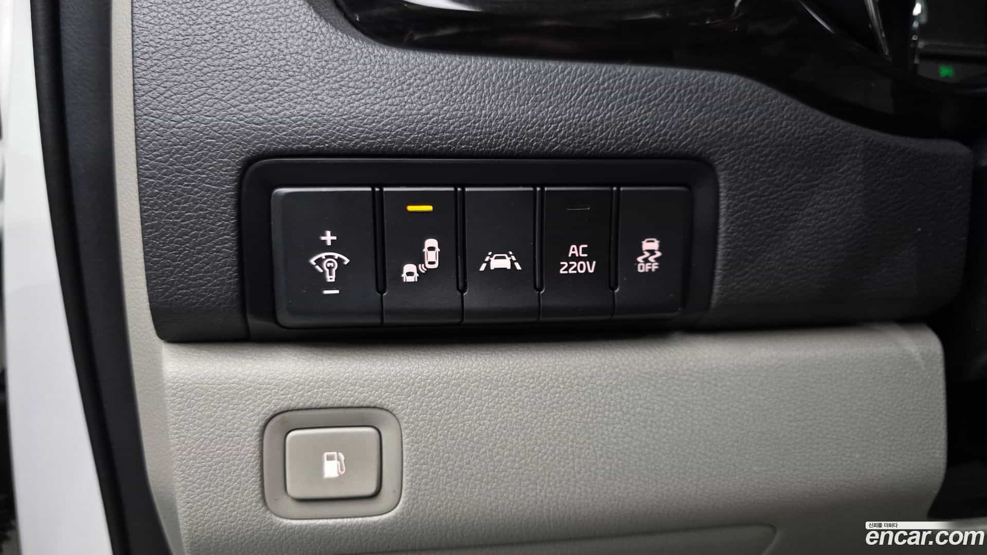 Canival Kia 2019.5-OPTION-018