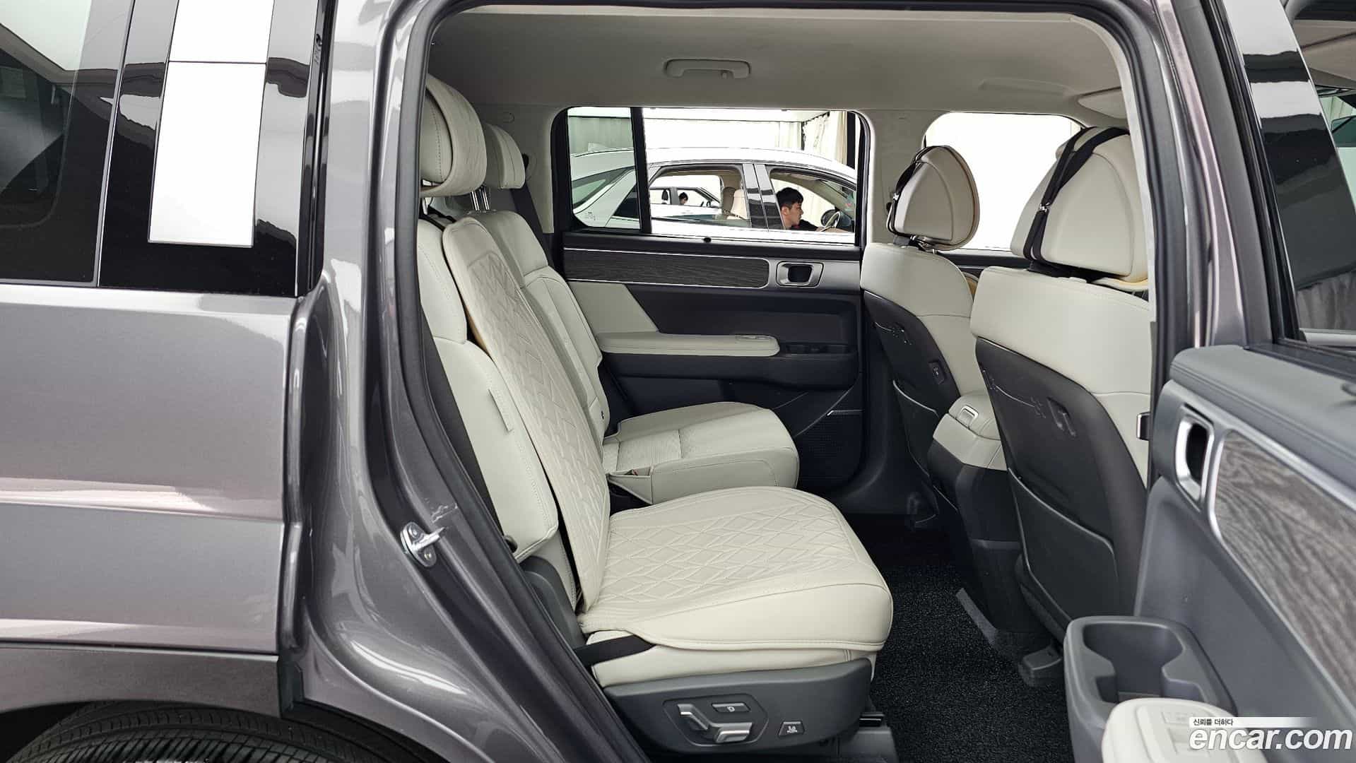 Santafe Hyundai 2024.5-OPTION-016