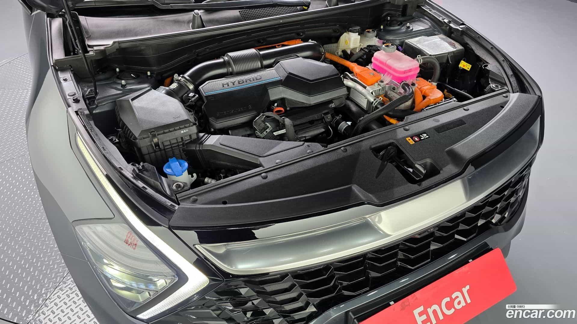Sportage Kia 2023.9-OUTER-006