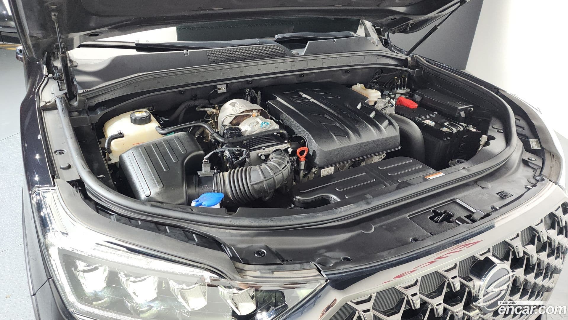 Main__Slider__Photo:Rexton KG Mobility 2022.6-5