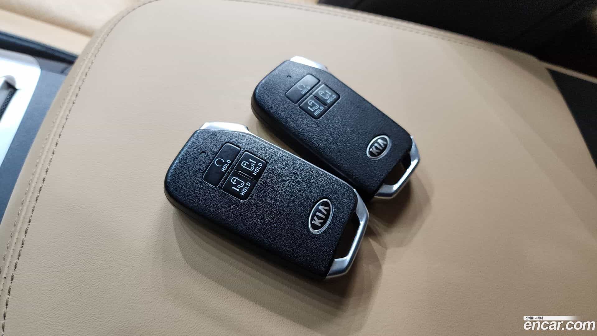 Canival Kia 2020.8-OPTION-022