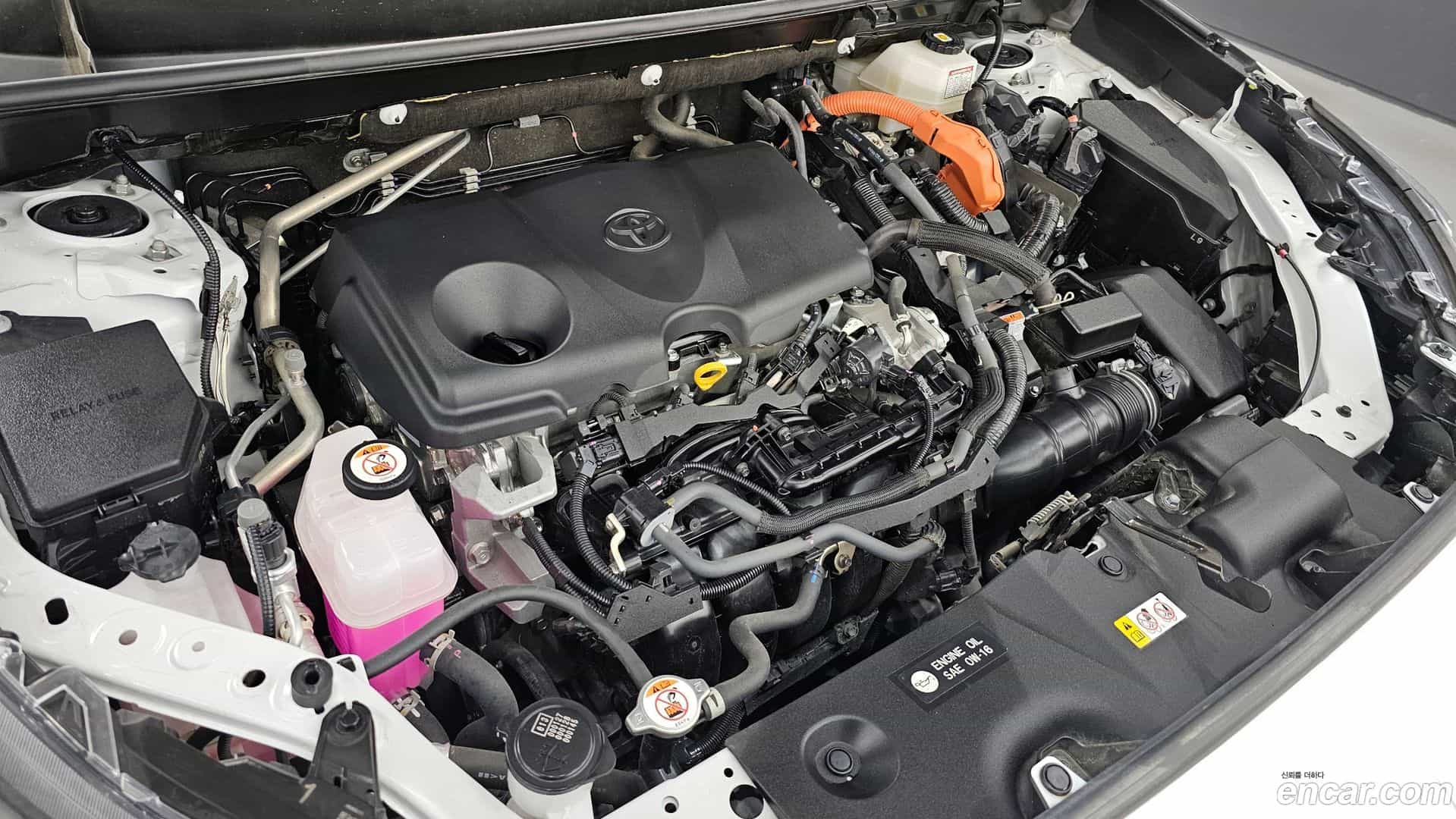 RAV4 Toyota 2024.3-OUTER-006