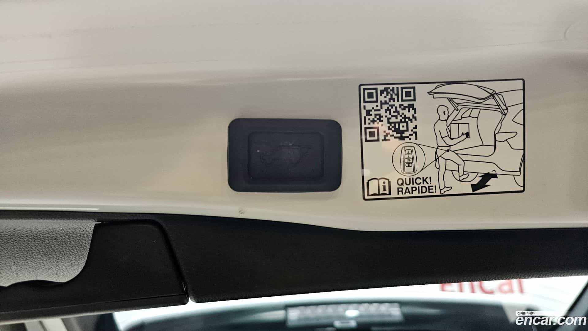 RAV4 Toyota 2024.3-OPTION-042