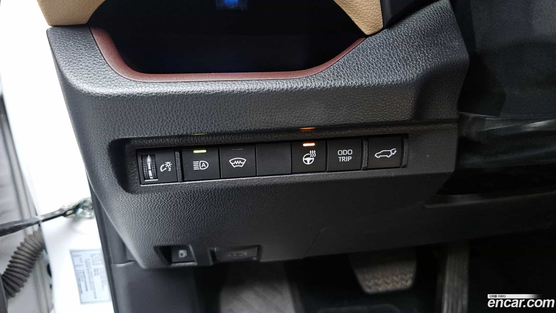 RAV4 Toyota 2024.3-OPTION-047