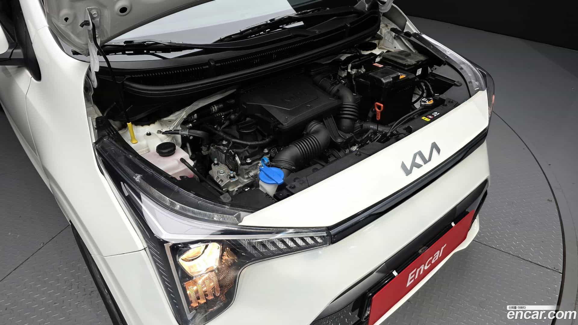 morning Kia 2024.5-OUTER-006