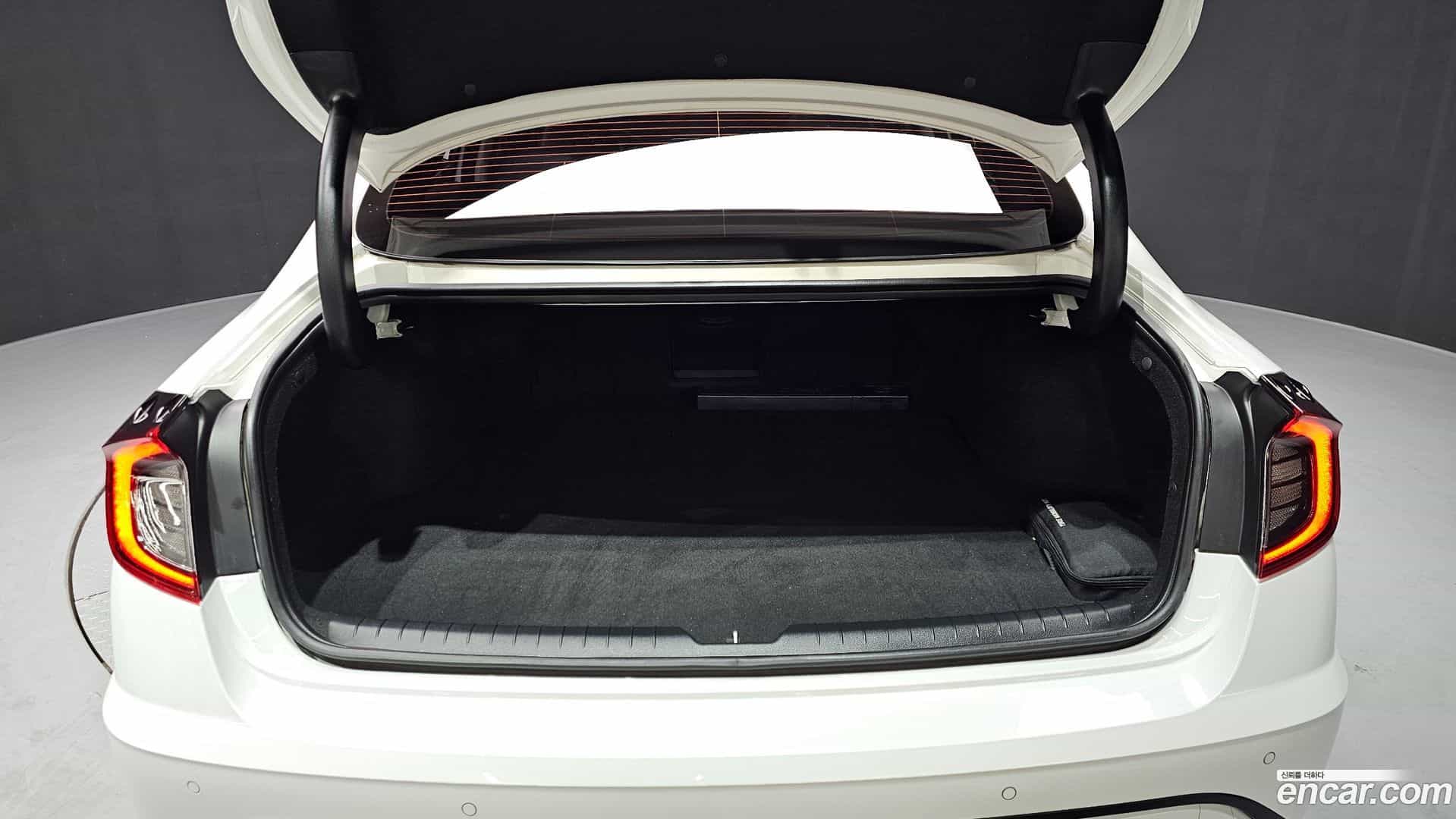Sonata Hyundai 2019.6-OPTION-018
