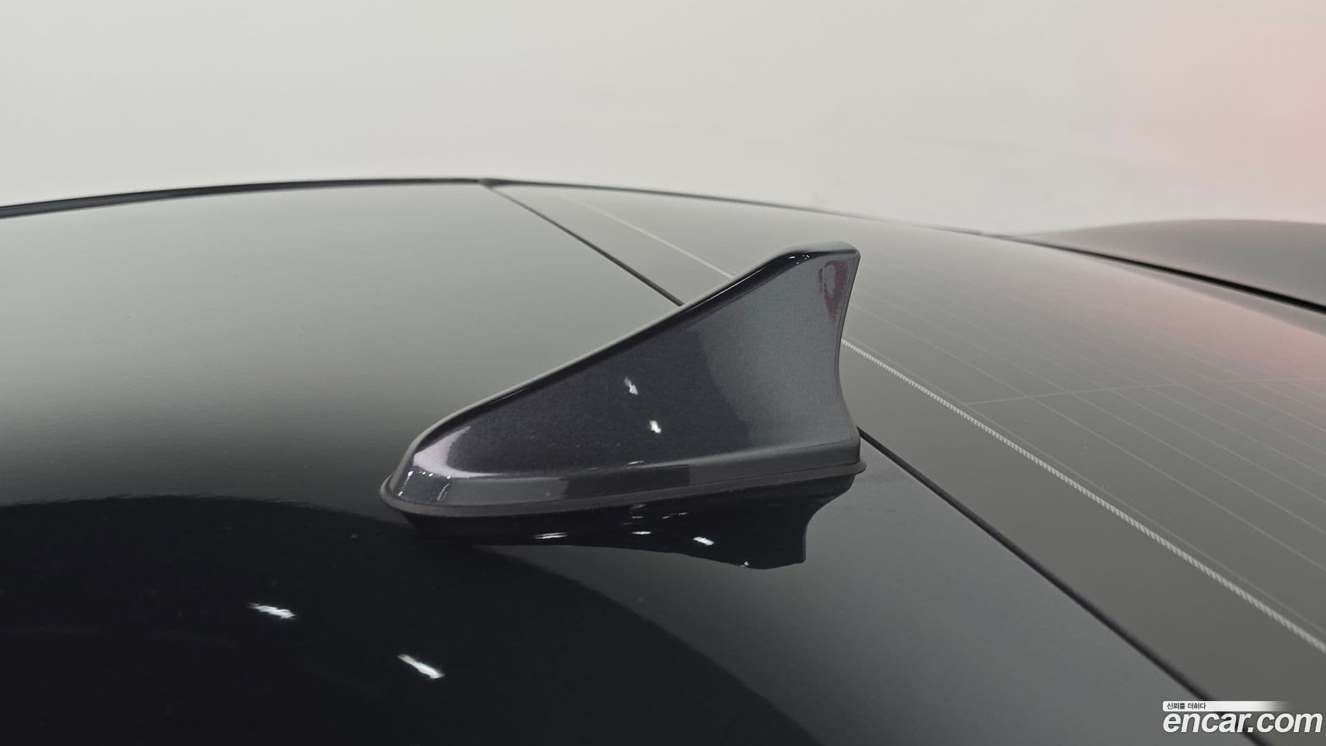 Main__Slider__Photo:K3 Kia 2021.8-27