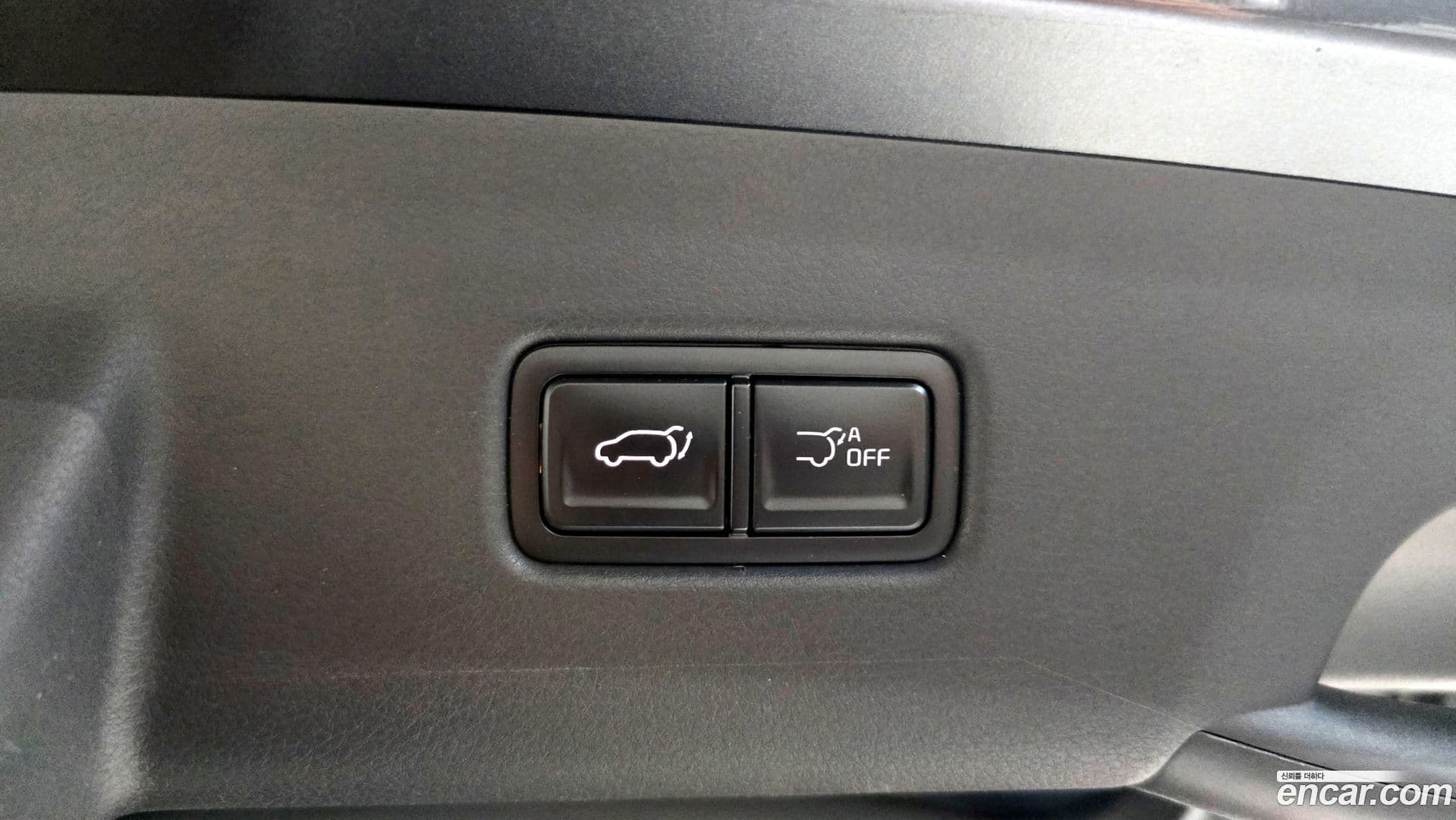 Main__Slider__Photo:Canival Kia 2024.5-29