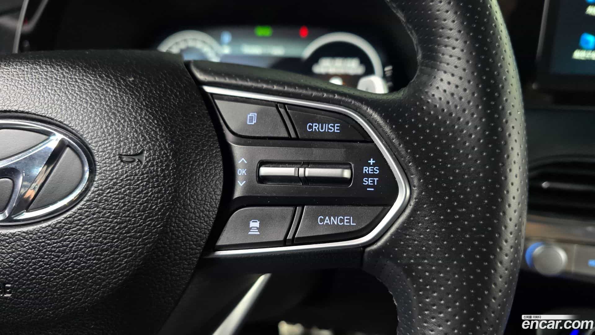 Palisade Hyundai 2020.5-OPTION-021