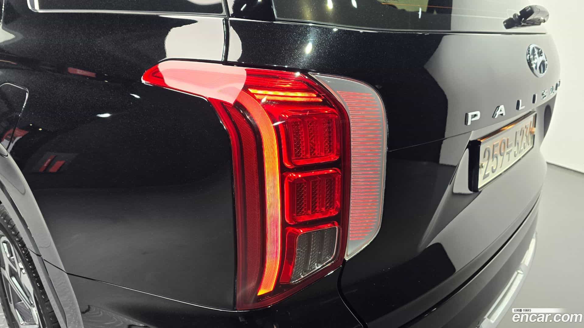 Palisade Hyundai 2020.5-OUTER-033