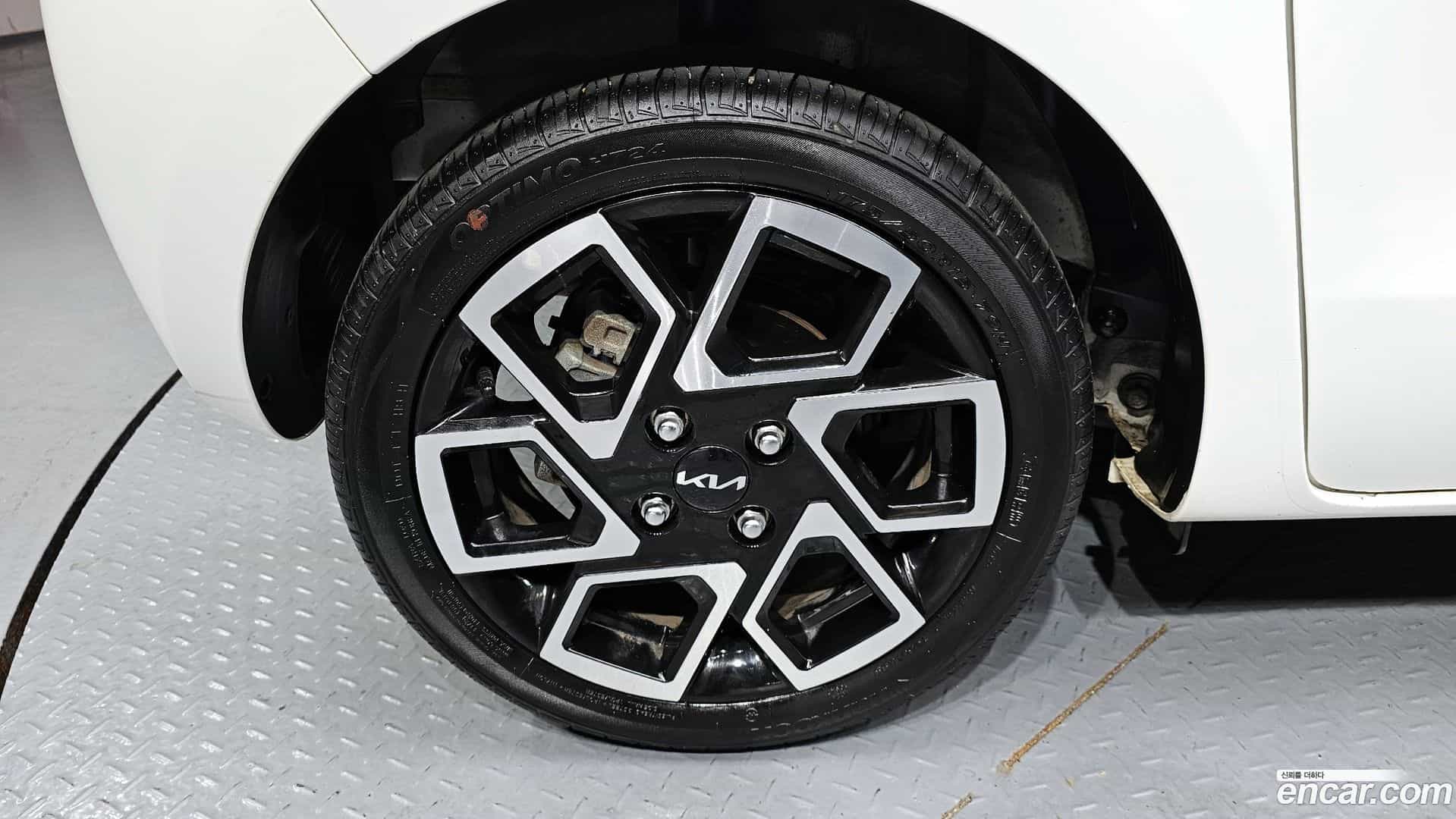 RAY Kia 2024.8-OUTER-005