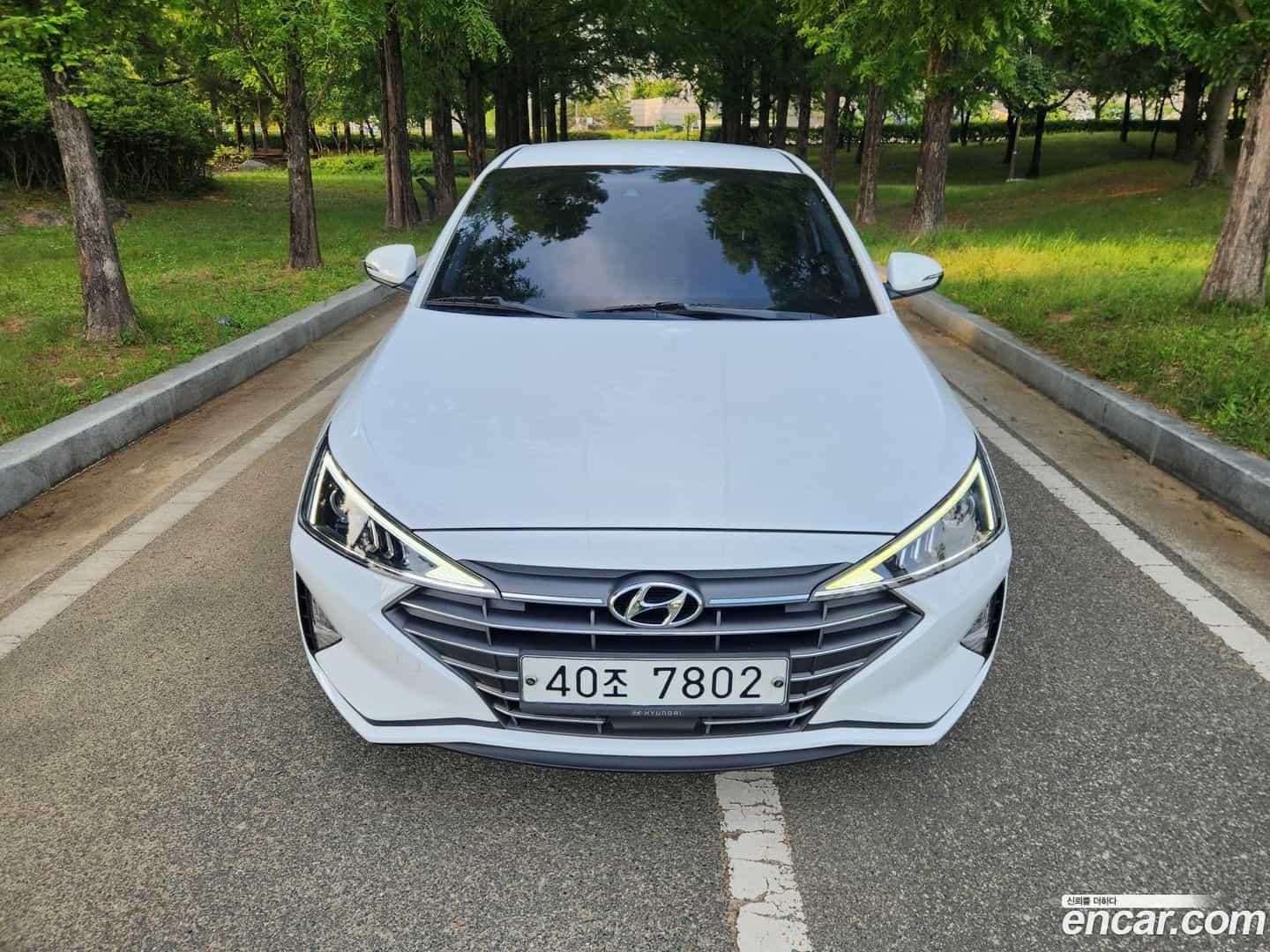 AVANTE Hyundai 2019.5-OUTER-002