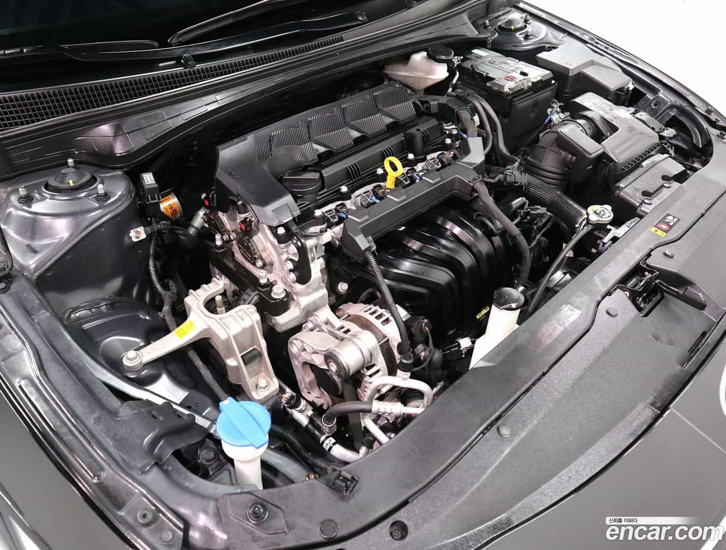 AVANTE Hyundai 2023.8-OUTER-006