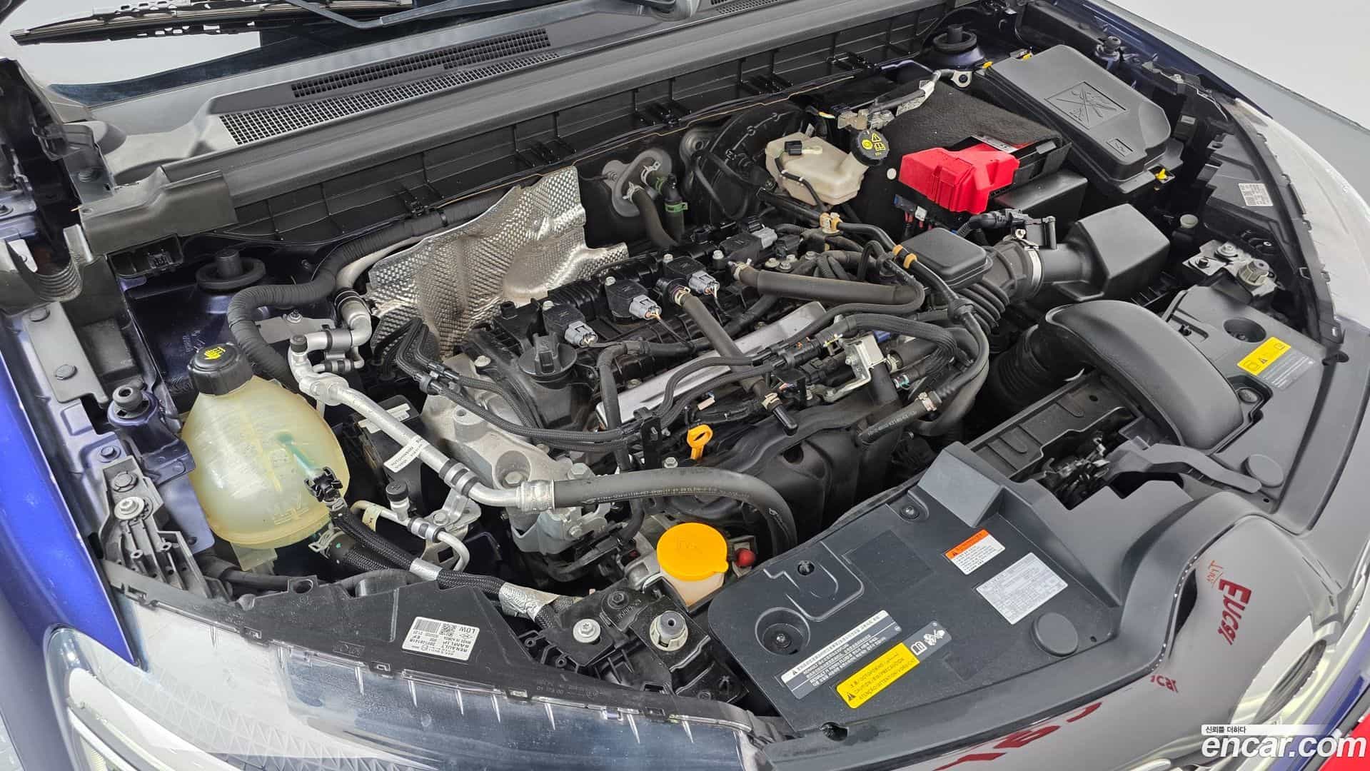 XM3 Renault Korea 2020.5-OUTER-006