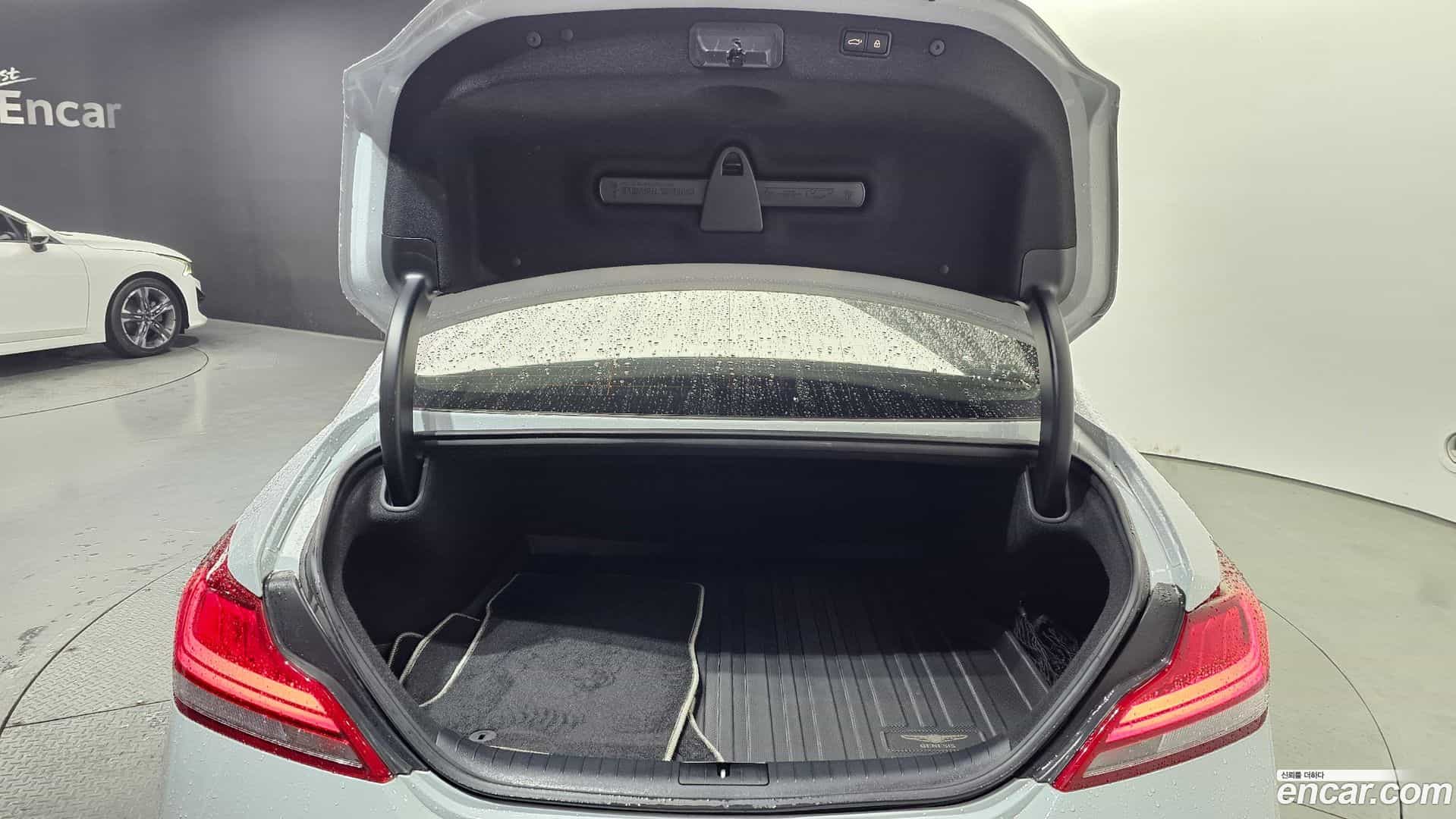 G70 Genesis 2019.0-OPTION-024