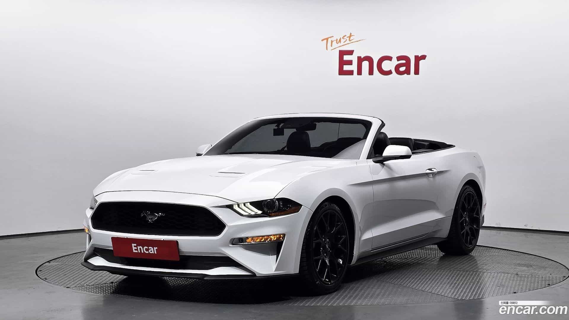 Mustang Ford 2018.7-OUTER-001