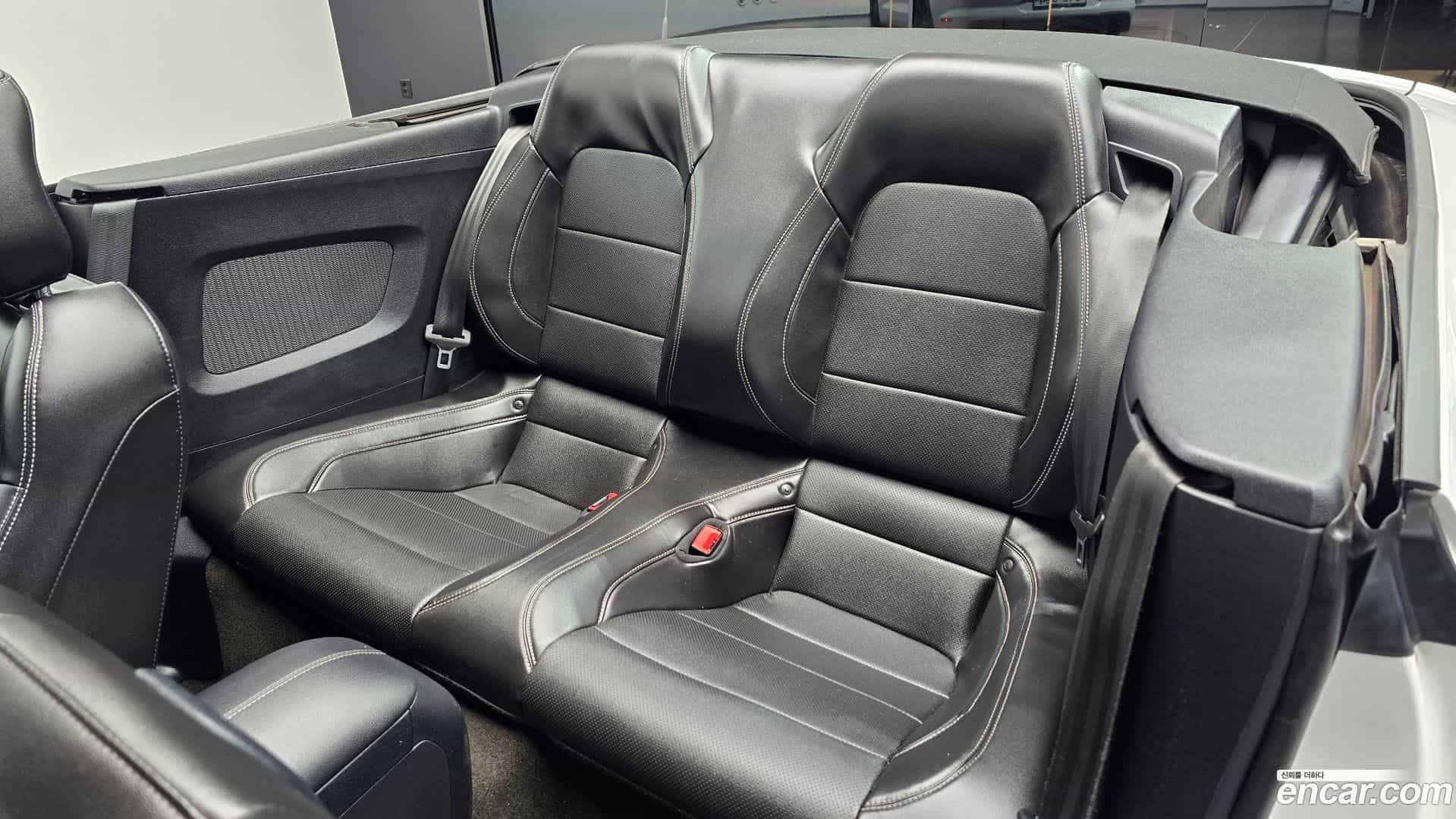 Mustang Ford 2018.7-OPTION-016