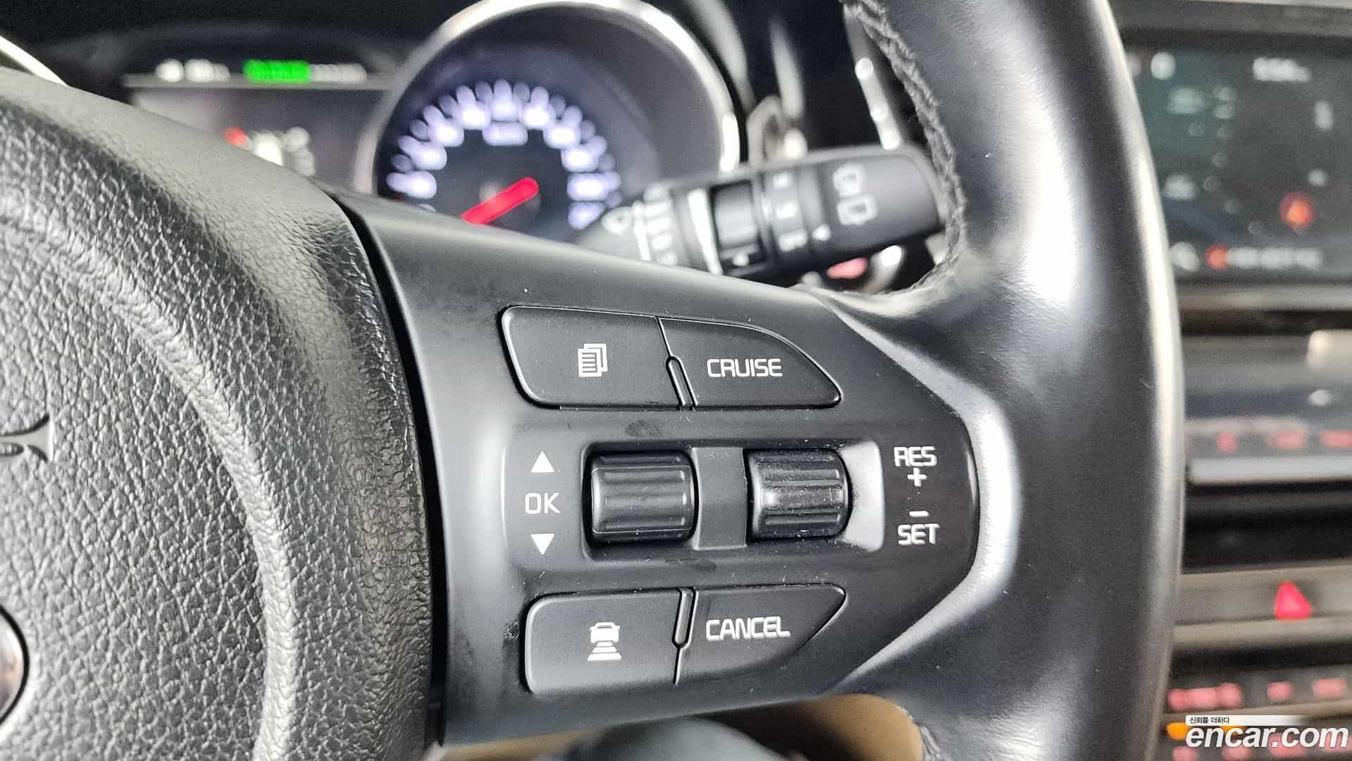 Canival Kia 2018.9-OPTION-021