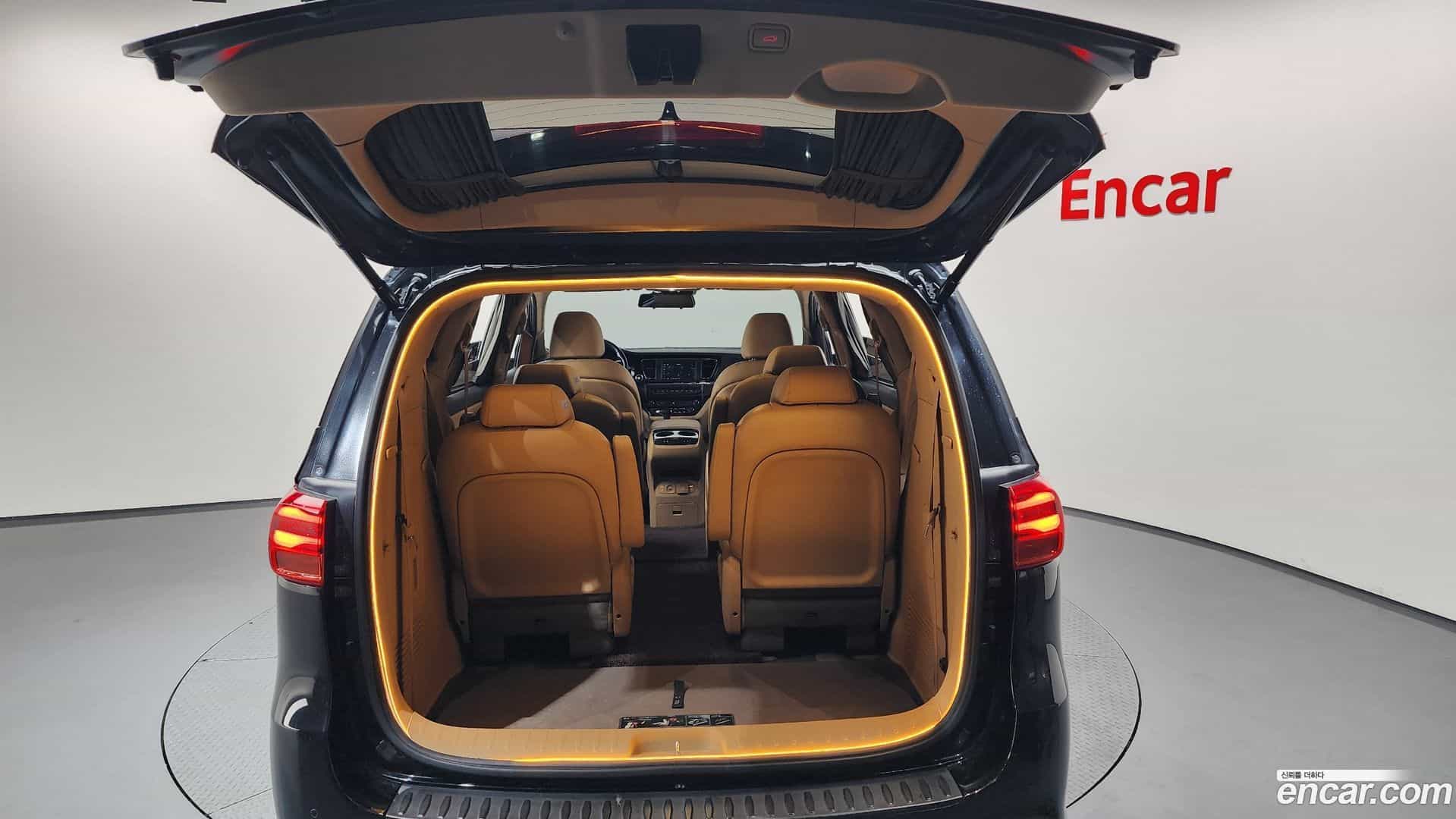 Canival Kia 2018.9-OPTION-040