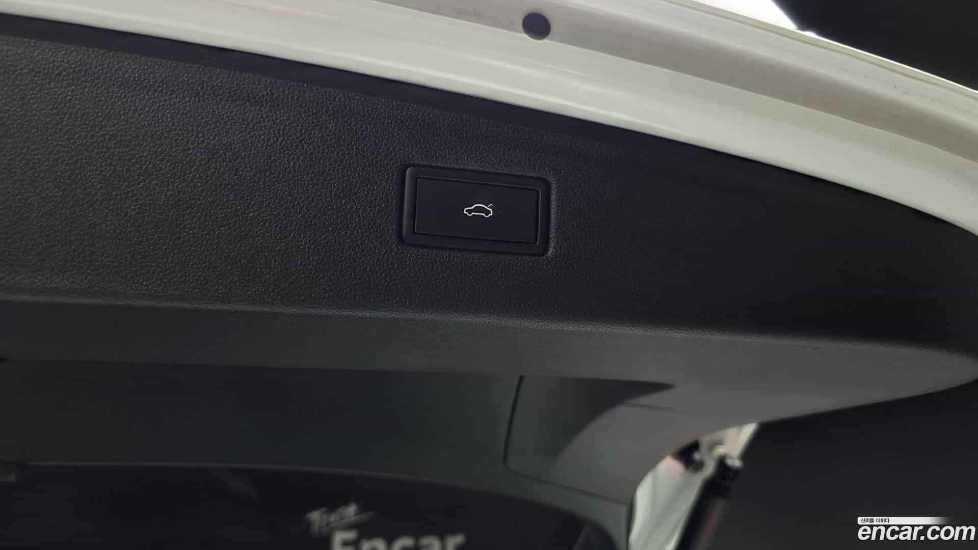 Tiguan Volkswagen 2023.9-OPTION-041