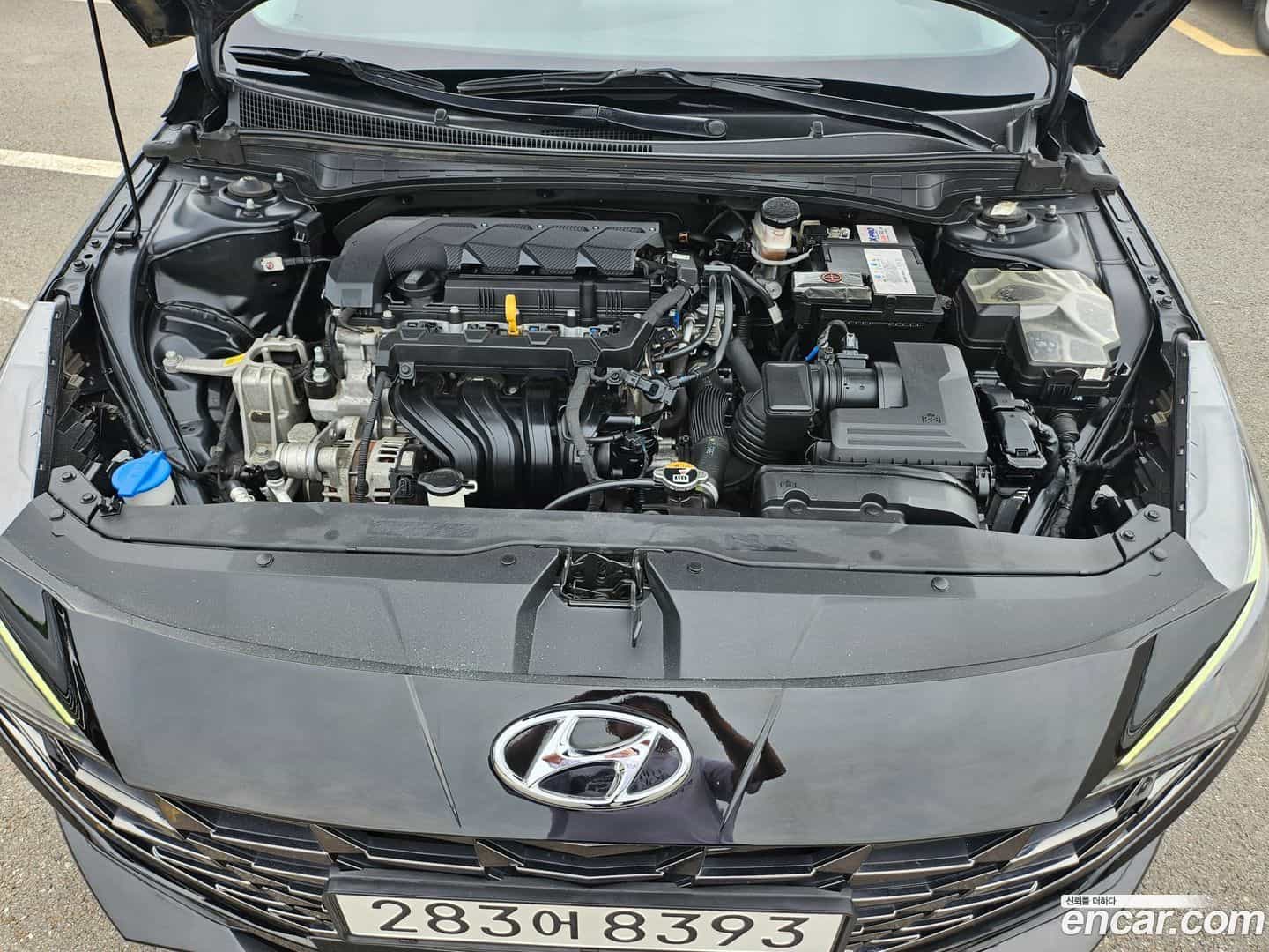 AVANTE Hyundai 2021.3-OPTION-019