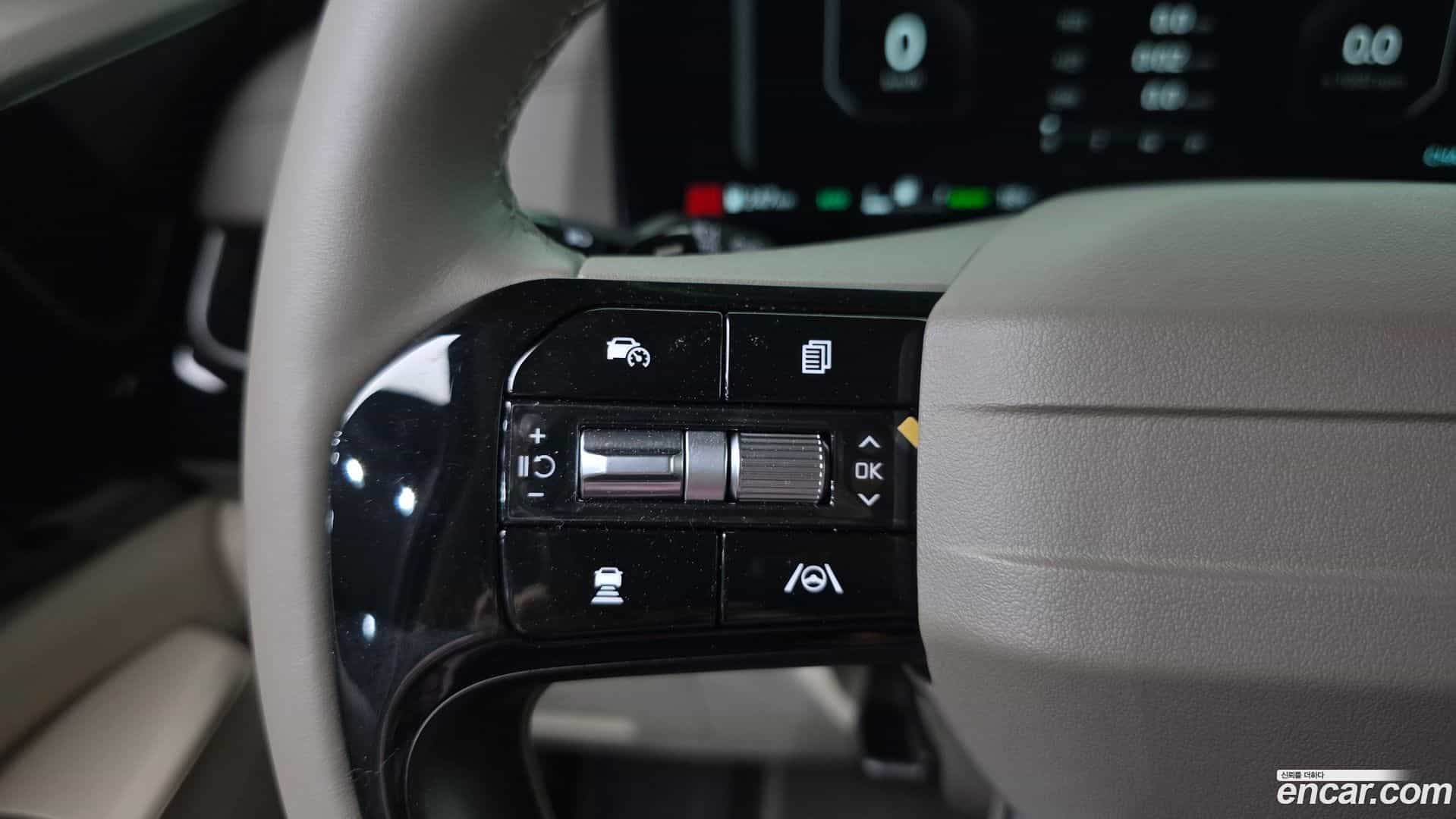 Canival Kia 2025.4-OPTION-041