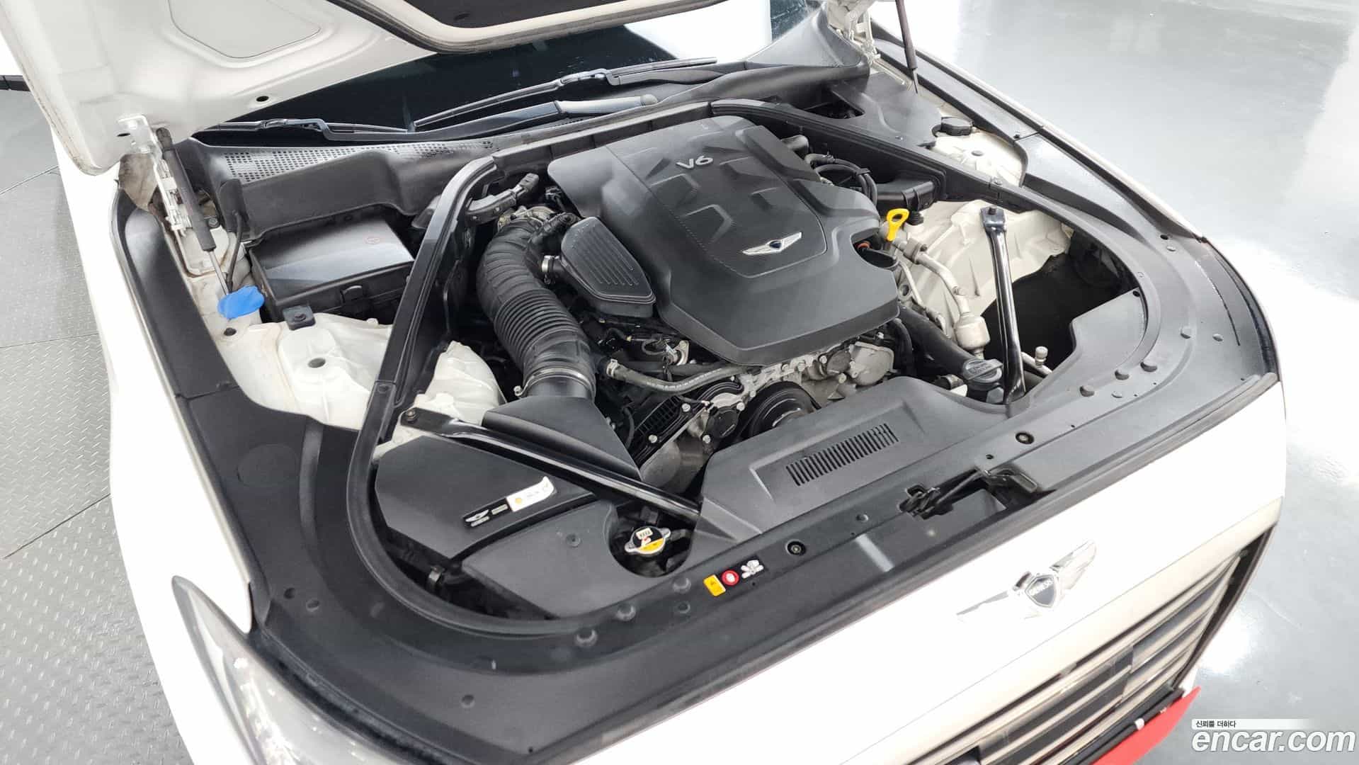 G80 Genesis 2019.7-OUTER-006