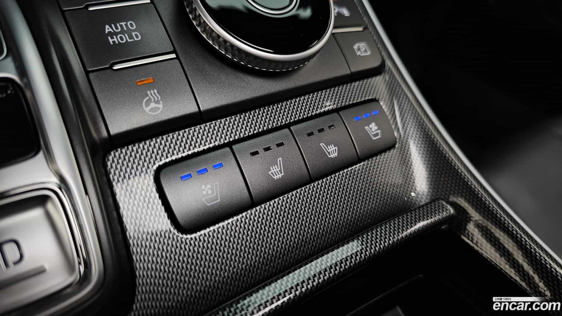 Santafe Hyundai 2020.11-OPTION-045