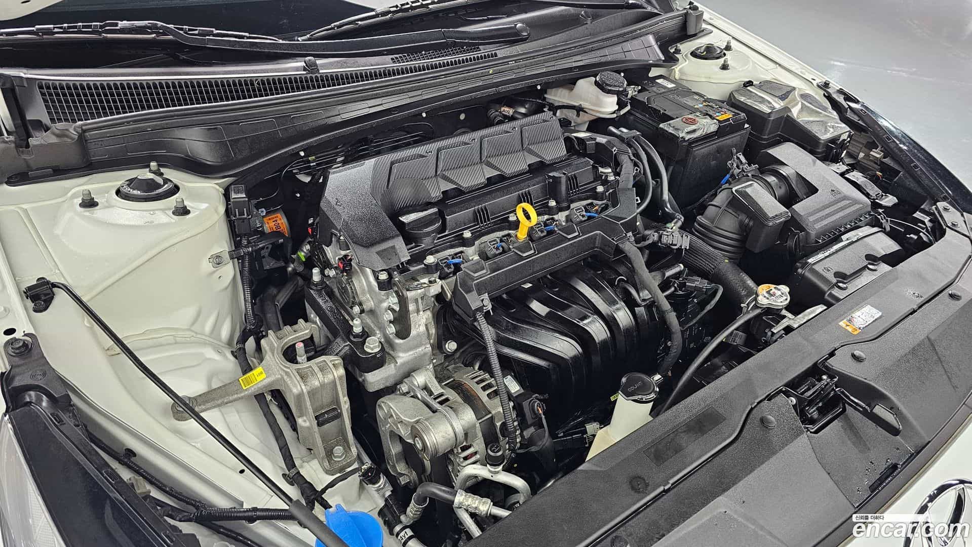 AVANTE Hyundai 2021.8-OUTER-006