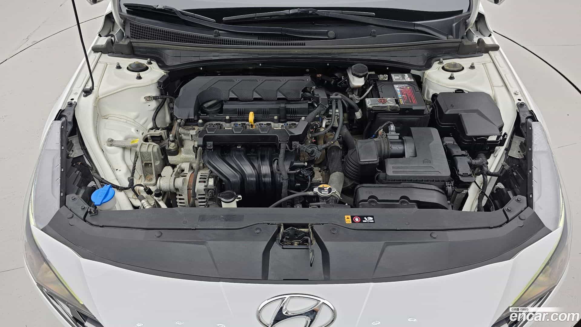 AVANTE Hyundai 2021.8-OUTER-006