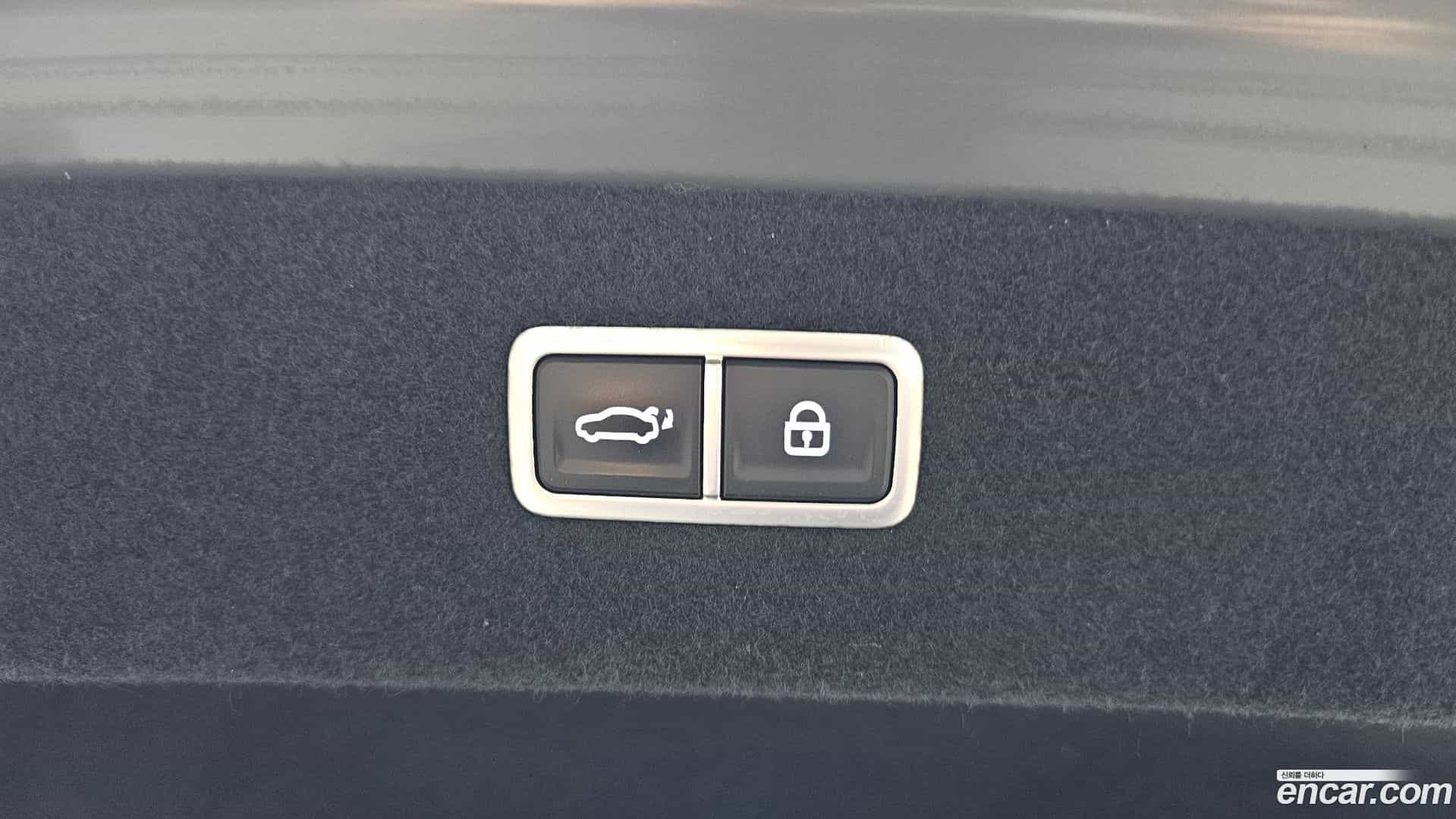 G90 Genesis 2022.1-OPTION-019