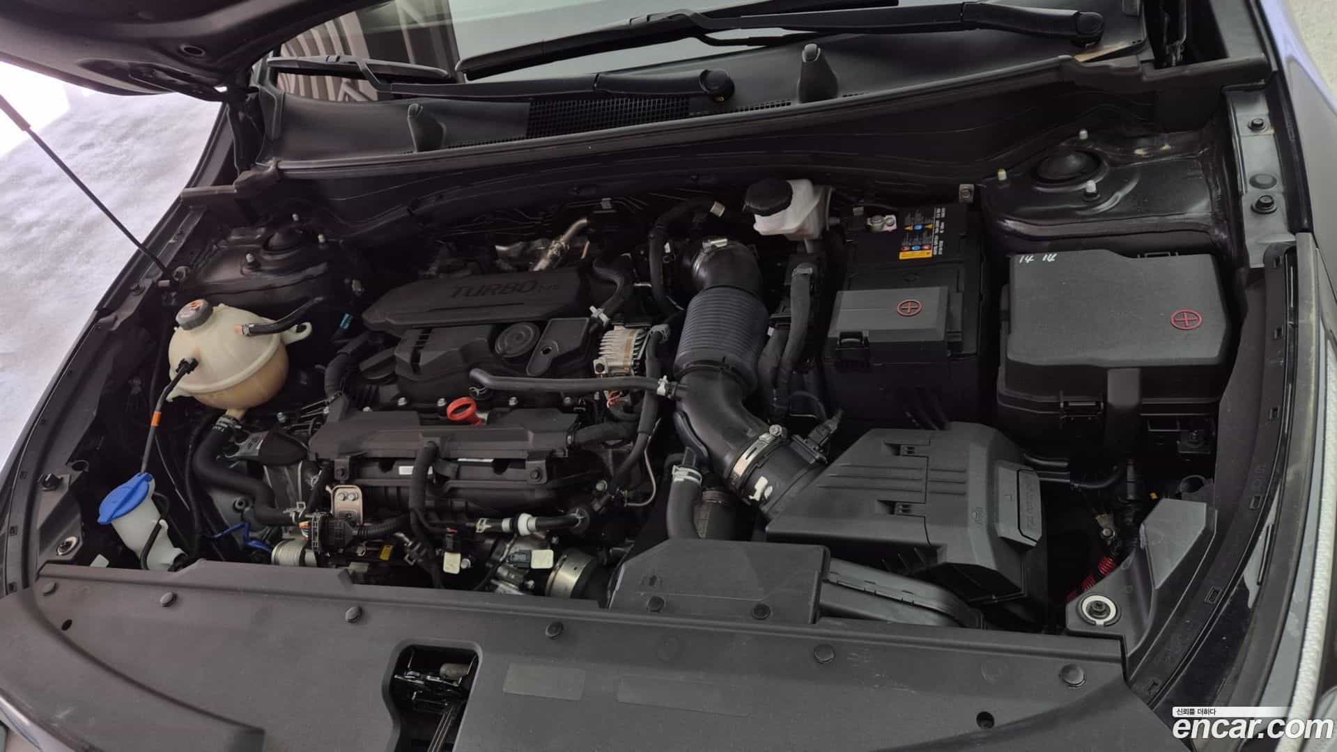Sportage Kia 2021.9-OUTER-006
