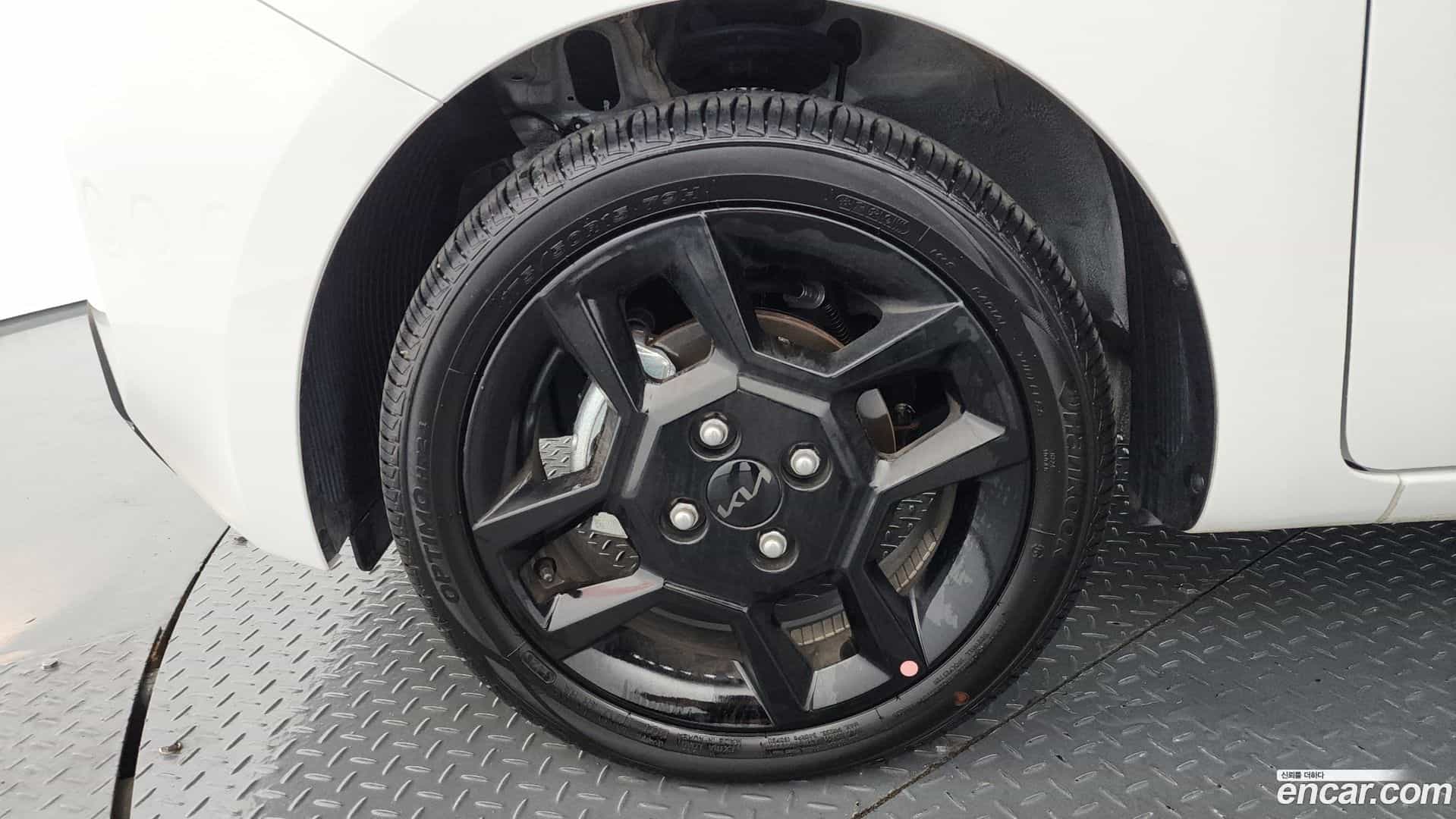 RAY Kia 2025.8-OUTER-005
