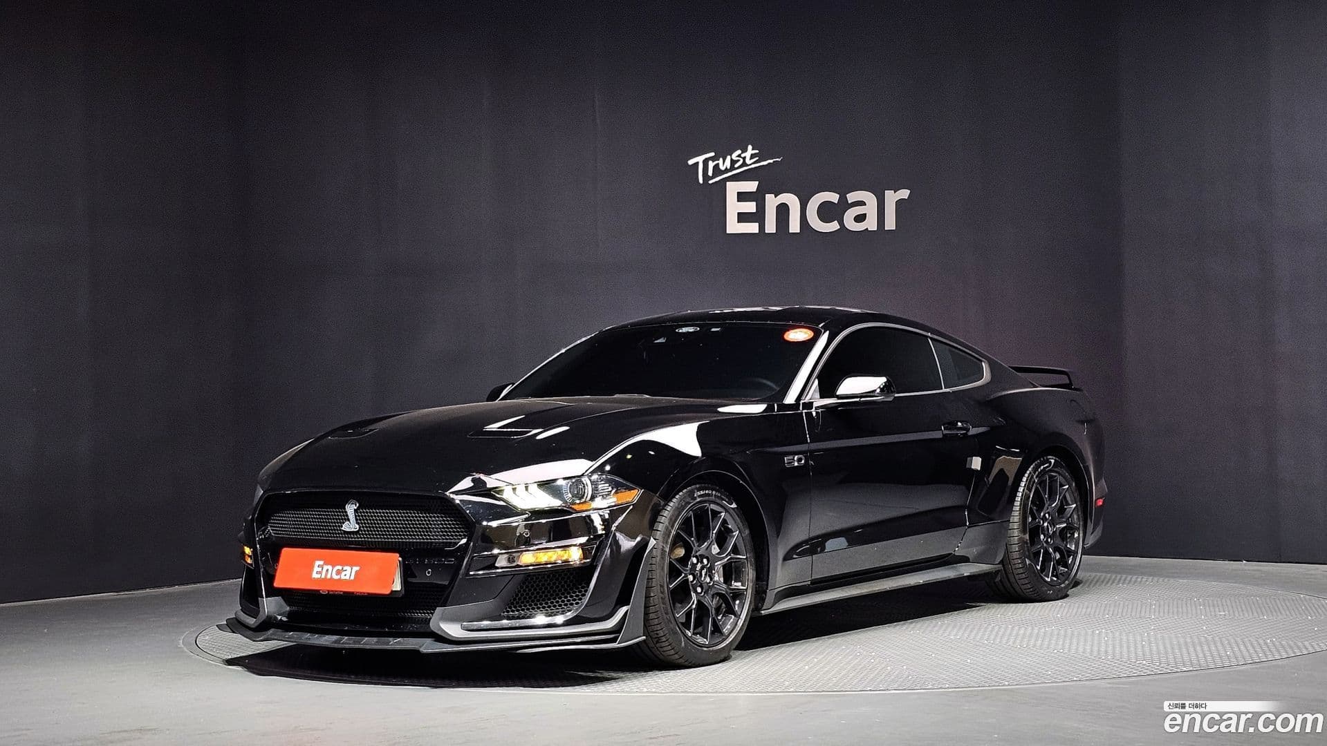 Main__Slider__Photo:Mustang Ford 2021.7-0
