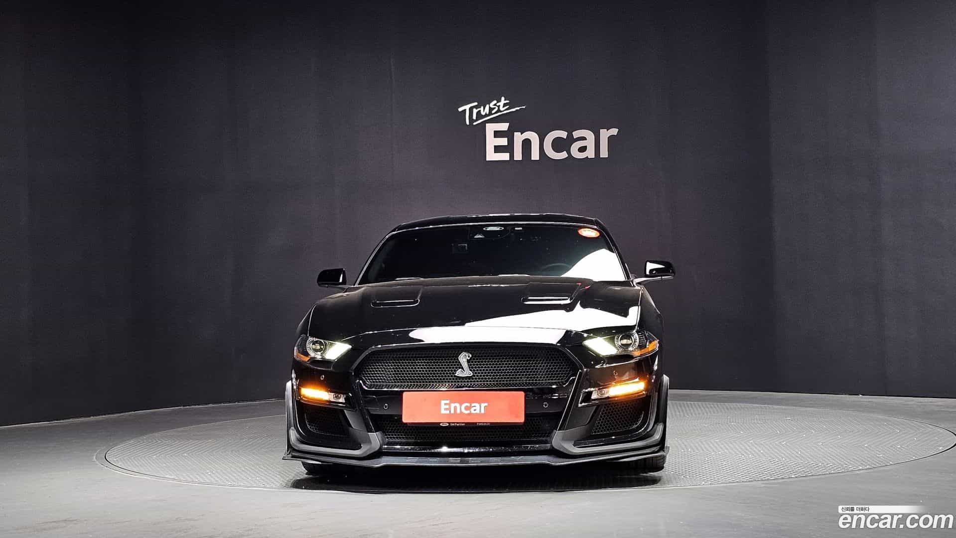 Mustang Ford 2021.7-OUTER-003