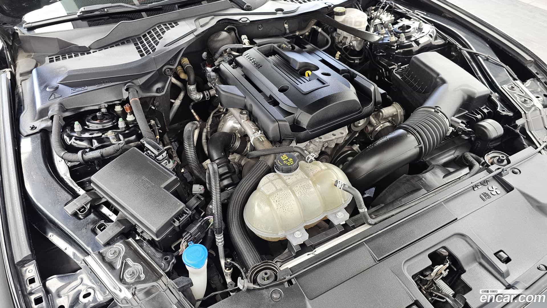 Mustang Ford 2021.7-OUTER-006