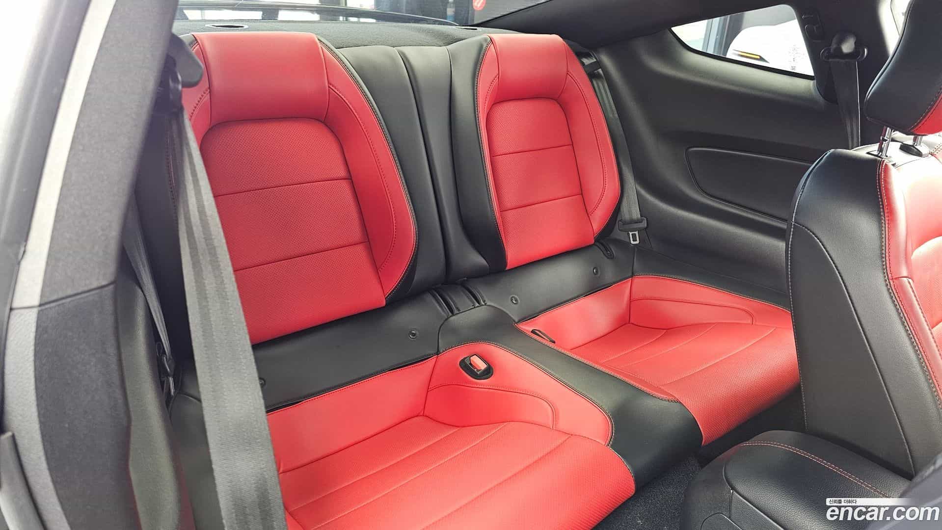 Mustang Ford 2021.7-OPTION-016