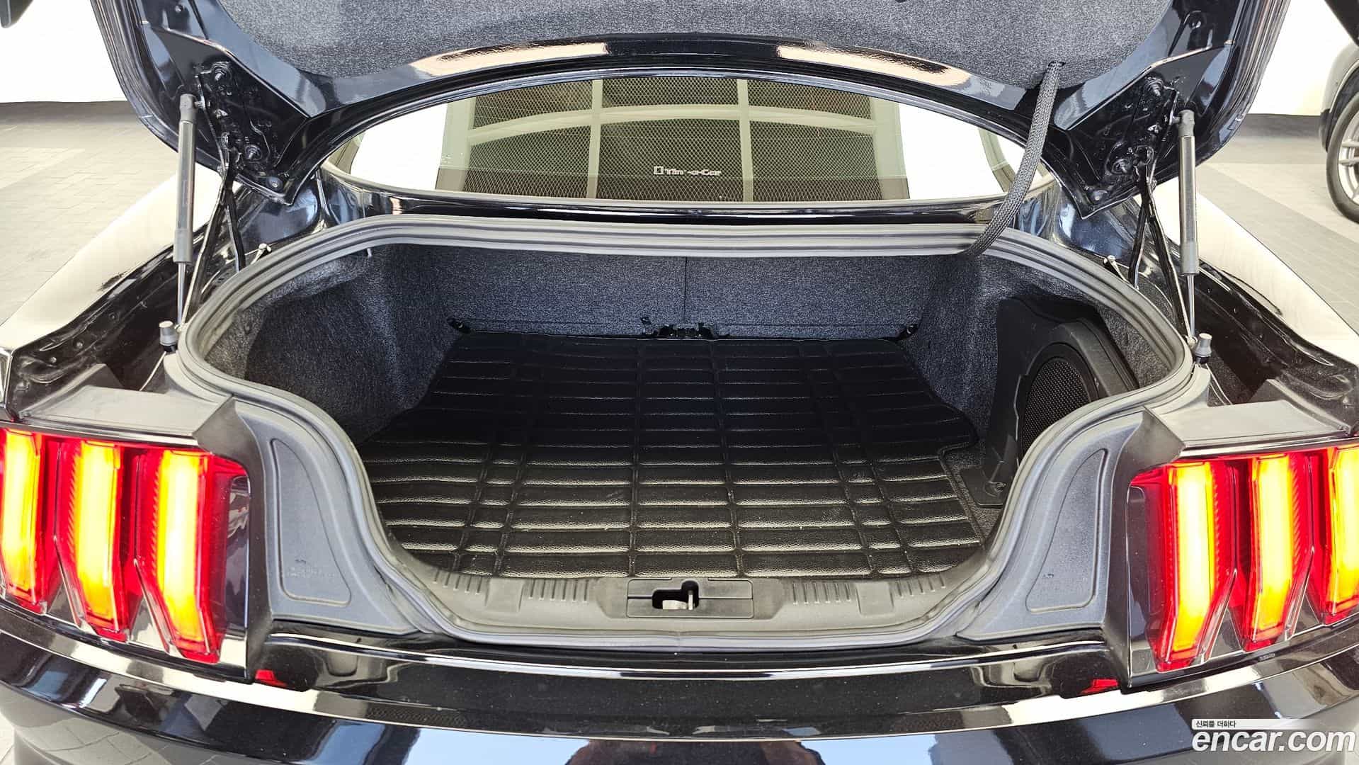Mustang Ford 2021.7-OPTION-024