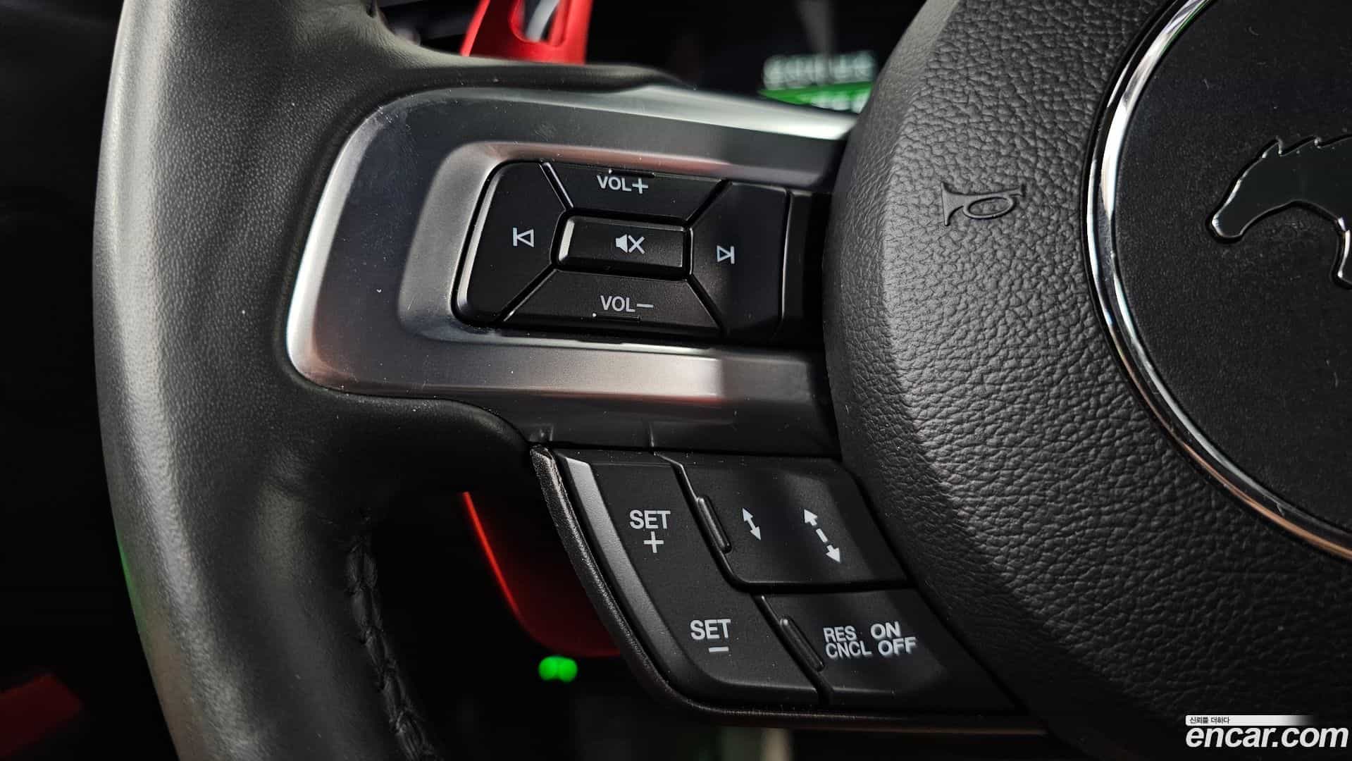Mustang Ford 2021.7-OPTION-043