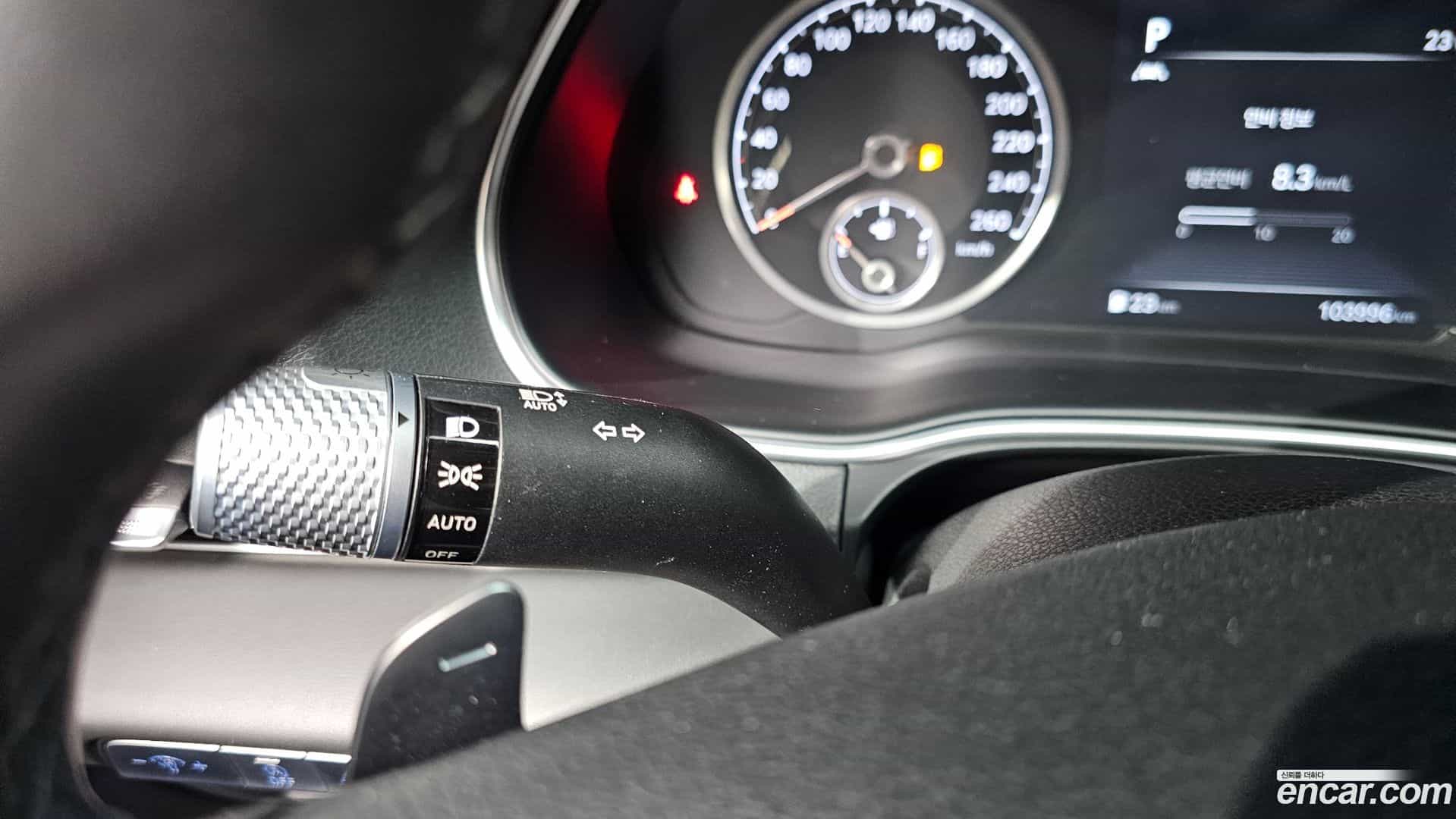 GV80 Genesis 2020.8-OPTION-024