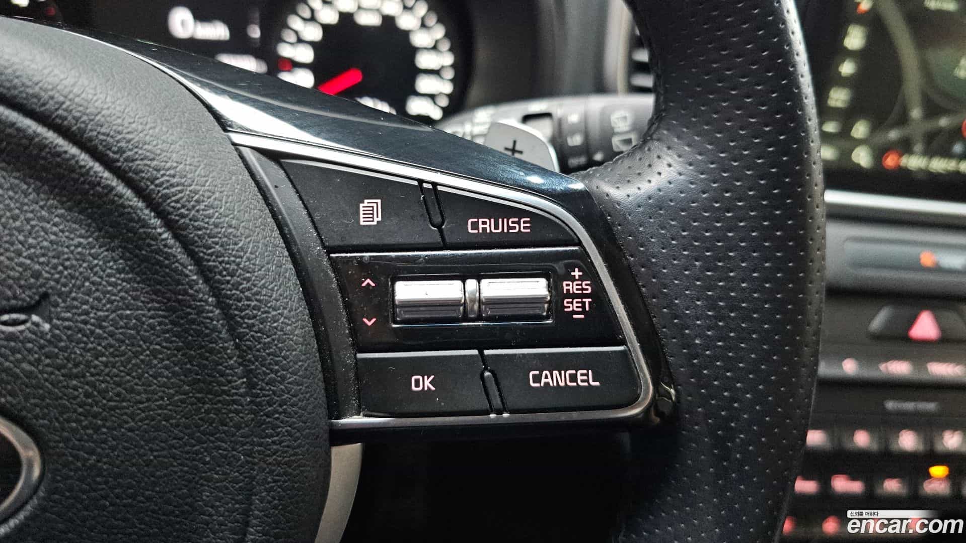 Sportage Kia 2021.5-OPTION-021
