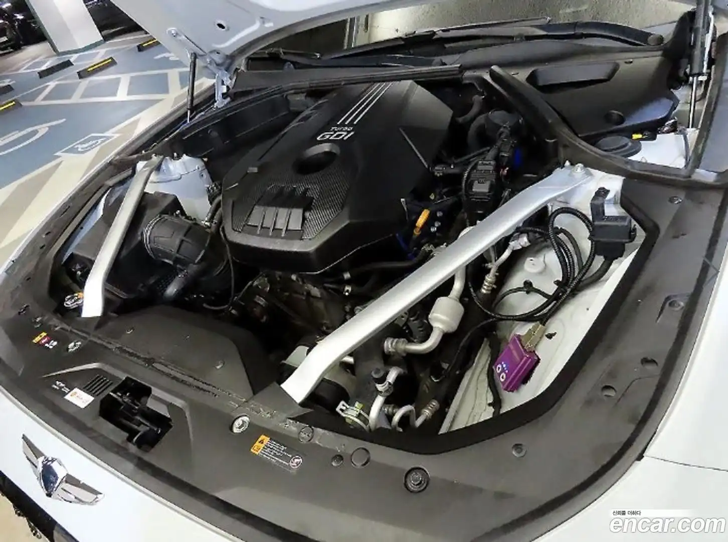 G70 Genesis 2020.0-OPTION-023
